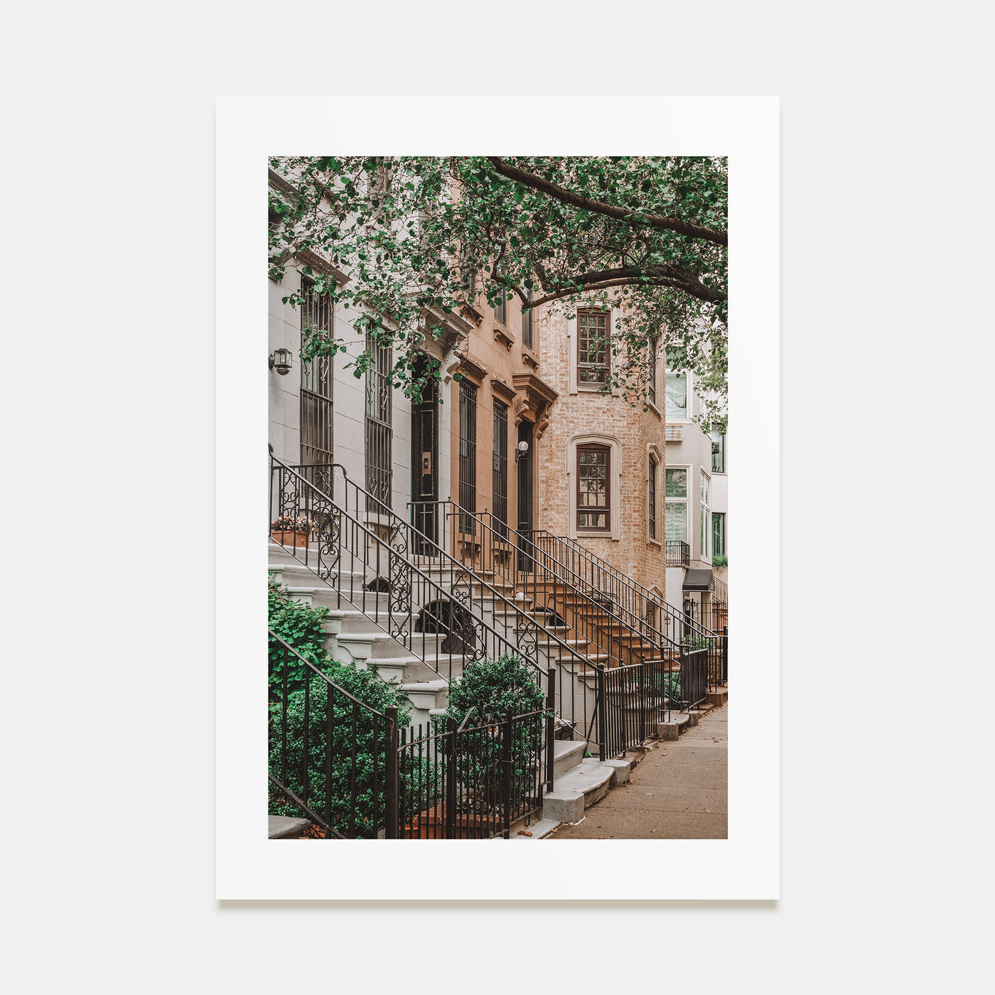 Brownstone Photo Color Poster