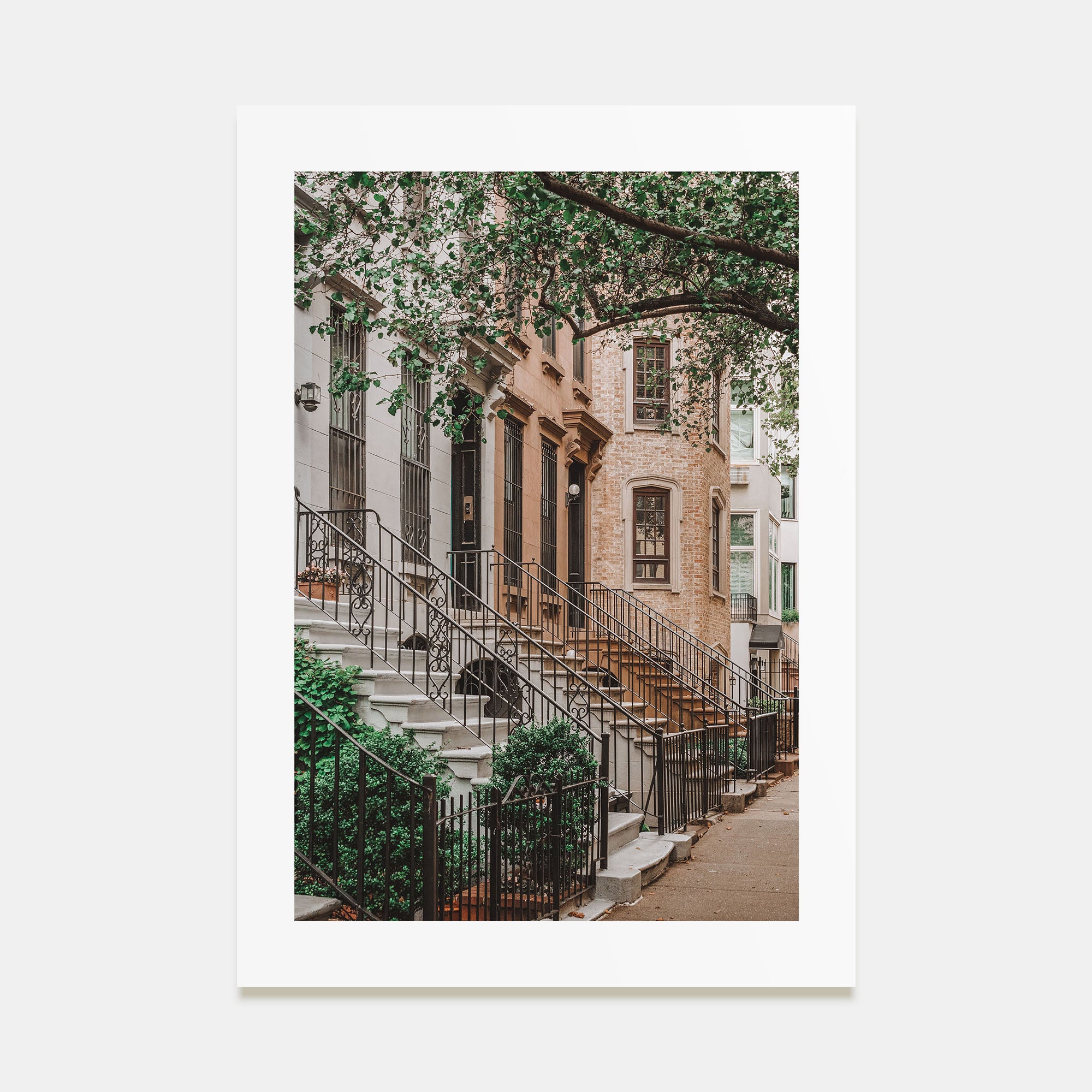 Brownstone Photo Color Poster