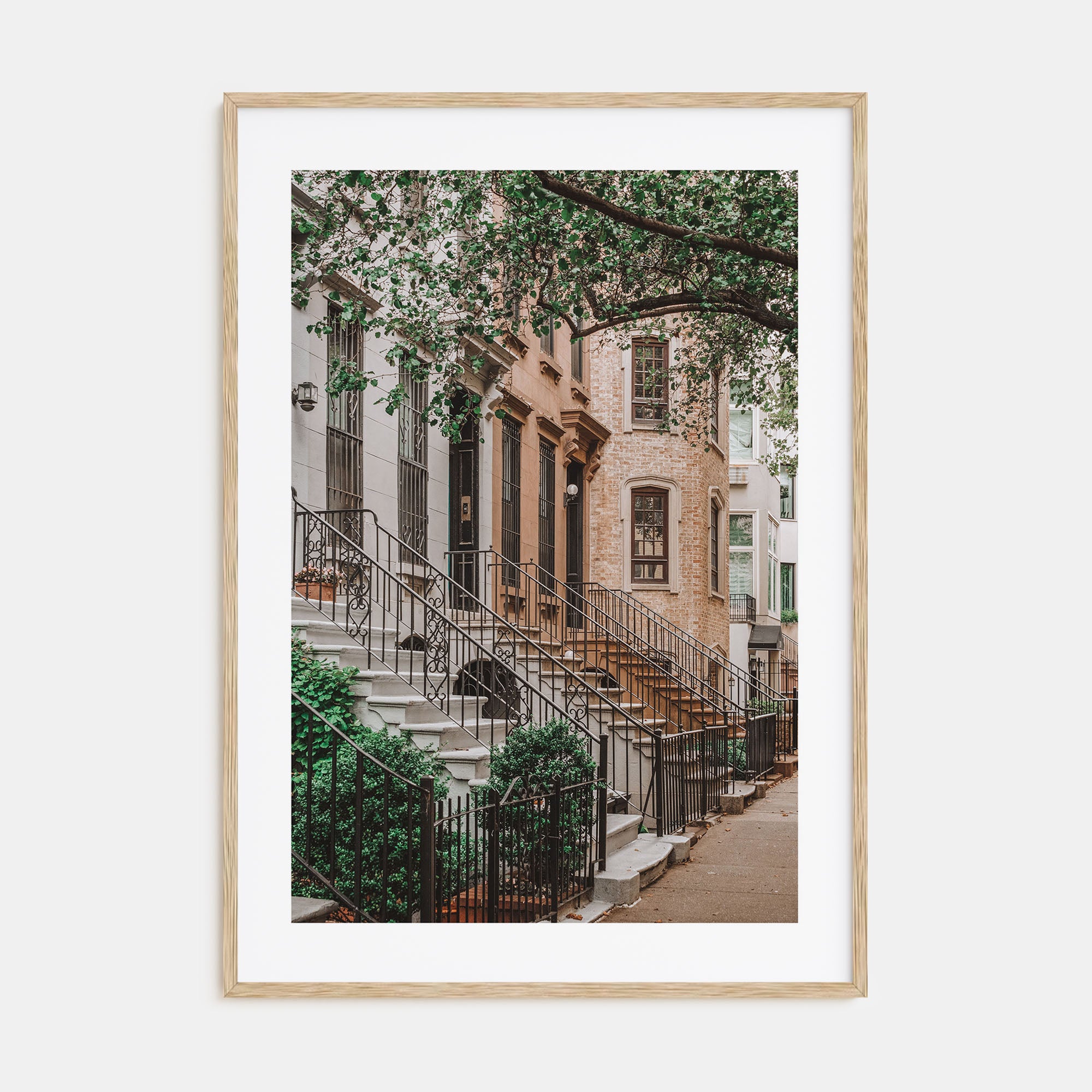 Brownstone Photo Color Poster