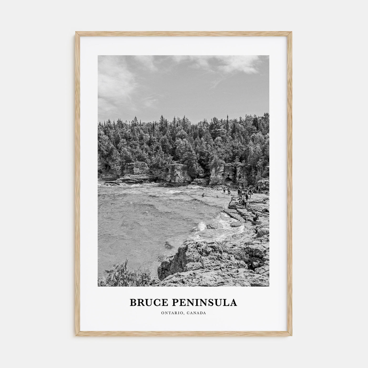 Bruce Peninsula Portrait B&W Poster