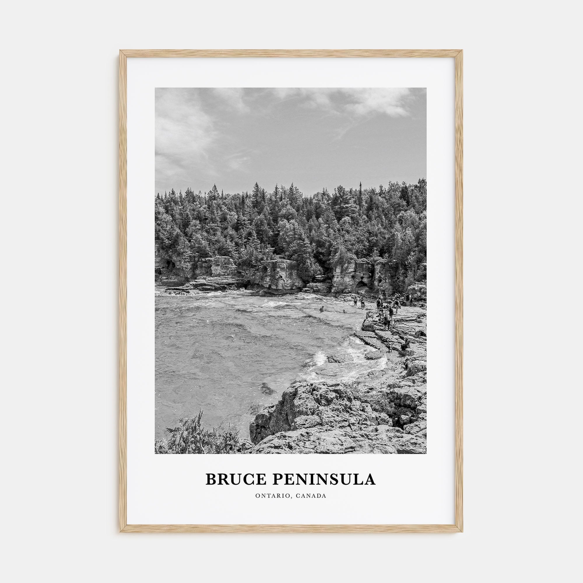 Bruce Peninsula Portrait B&W Poster
