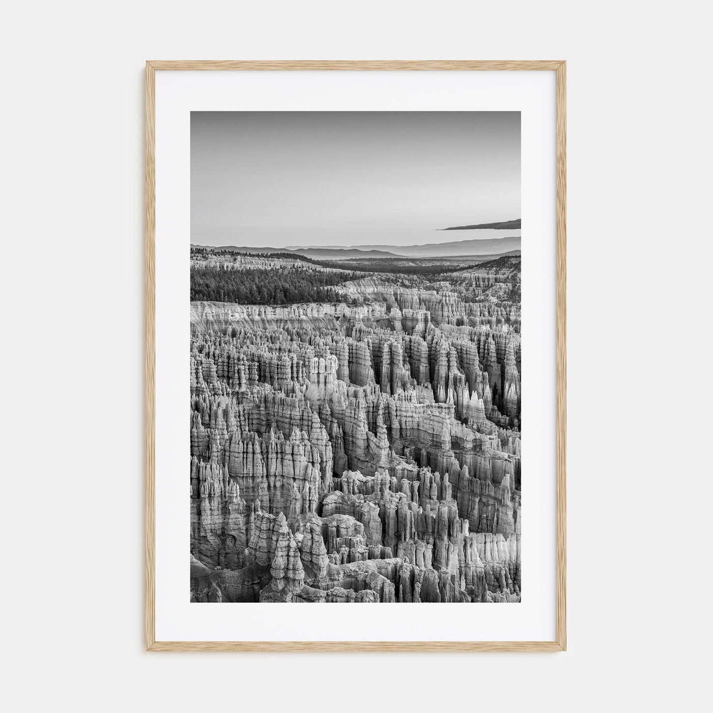 Bryce Canyon National Park Photo B&W Poster