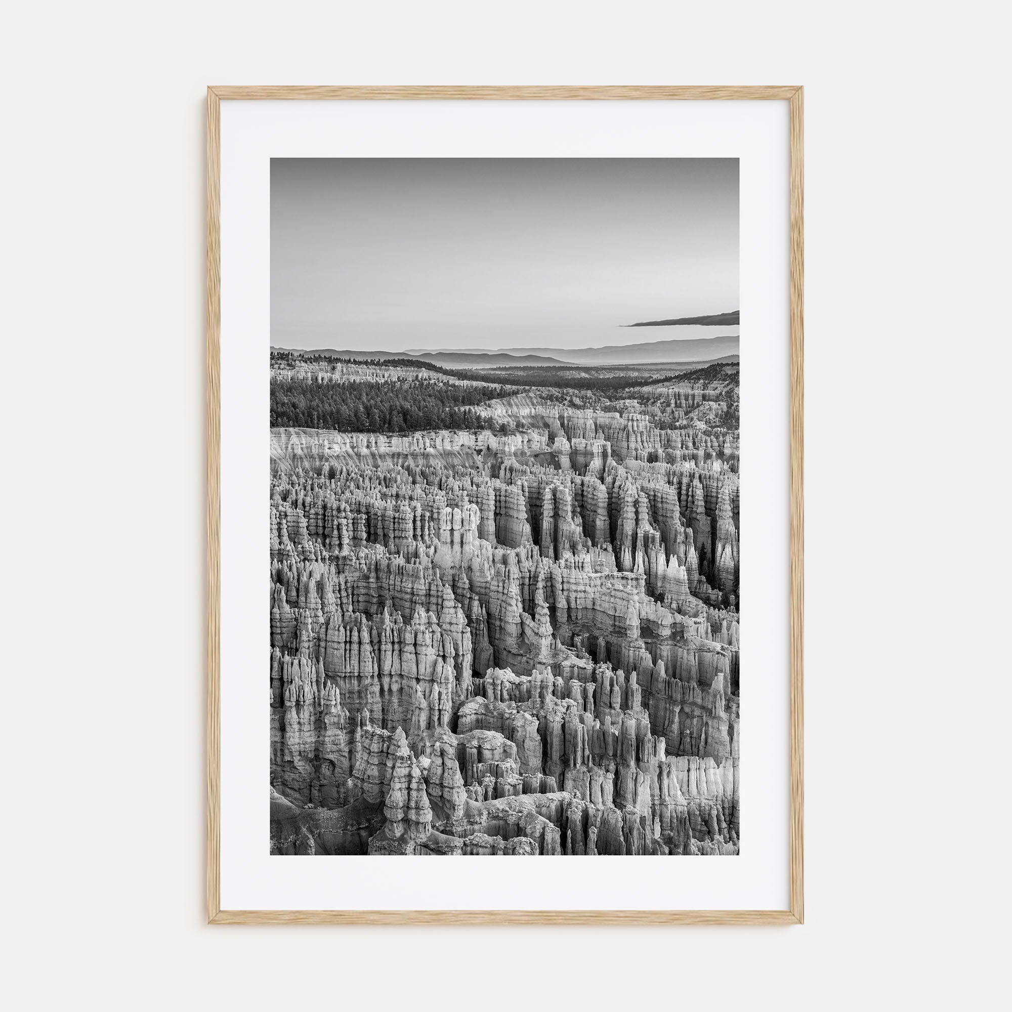 Bryce Canyon National Park Photo B&W Poster