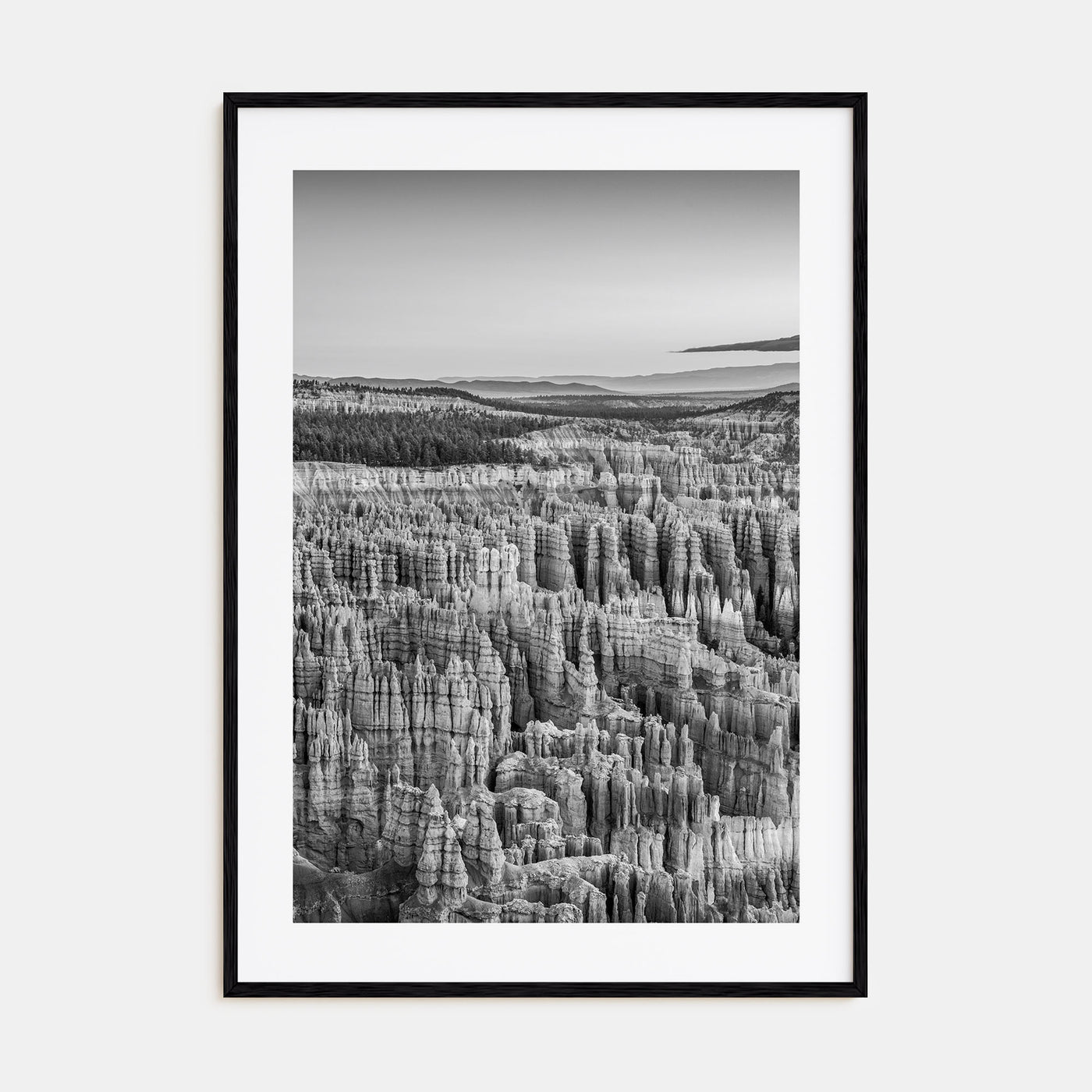 Bryce Canyon National Park Photo B&W Poster