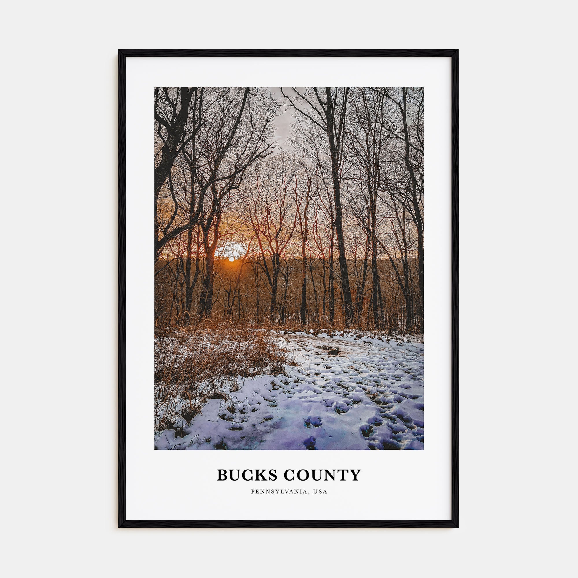 Bucks County Portrait Color Poster