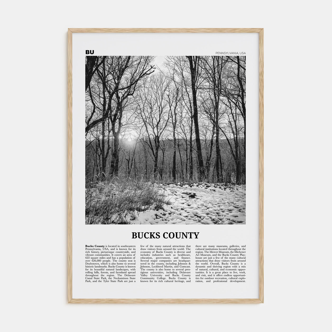 Bucks County Travel B&W Poster