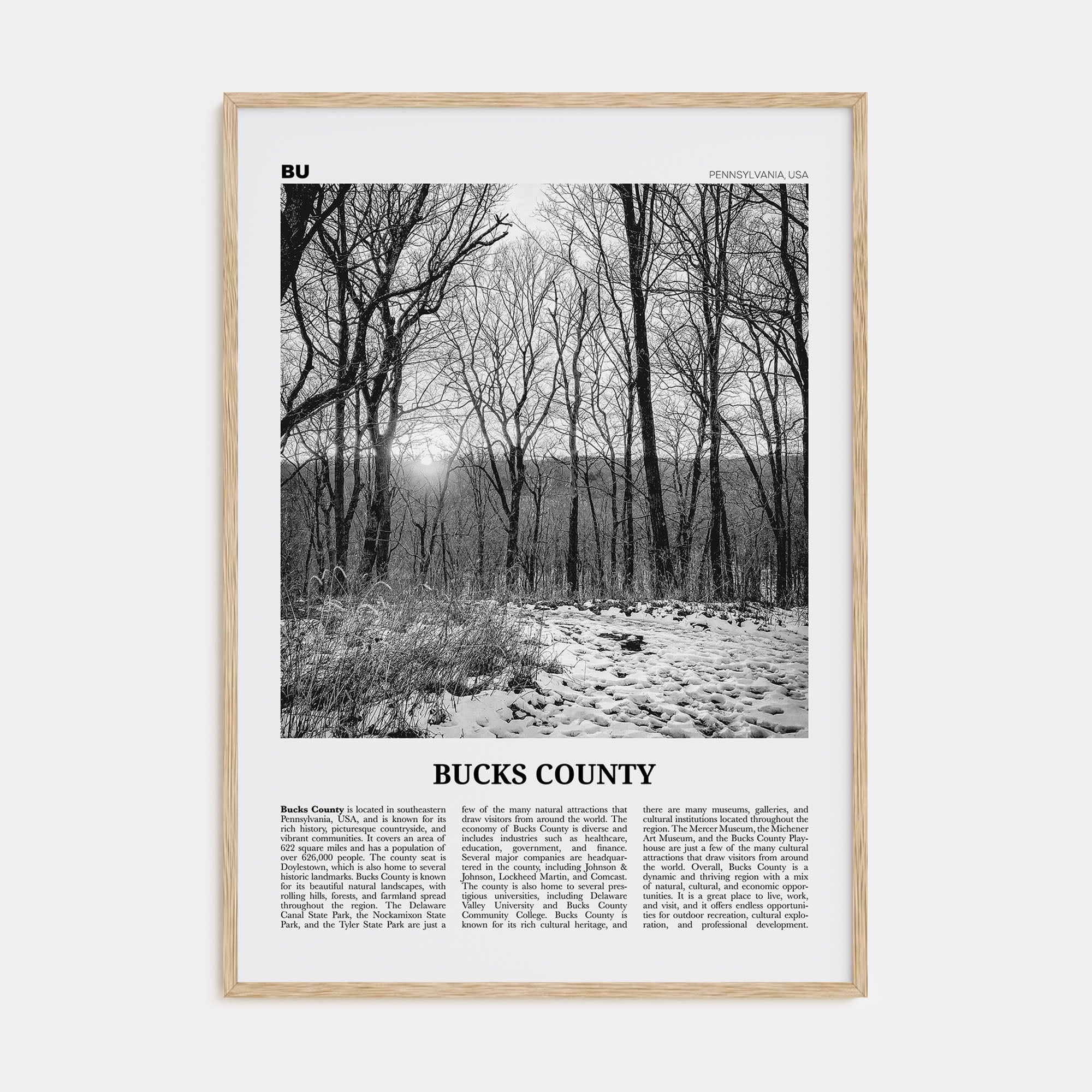 Bucks County Travel B&W Poster