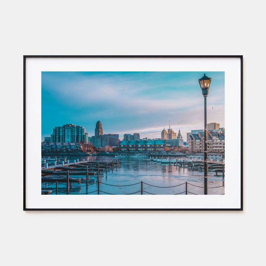 Buffalo Landscape Color Poster
