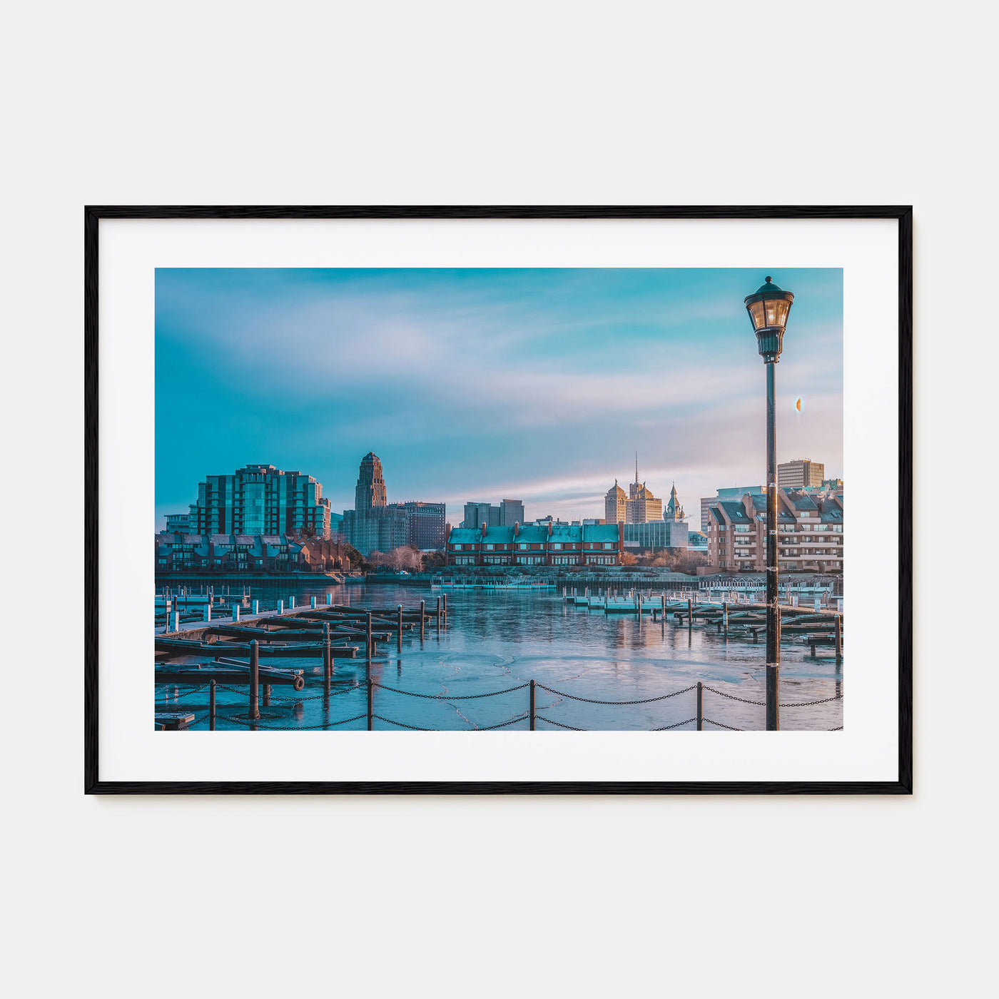 Buffalo Landscape Color Poster