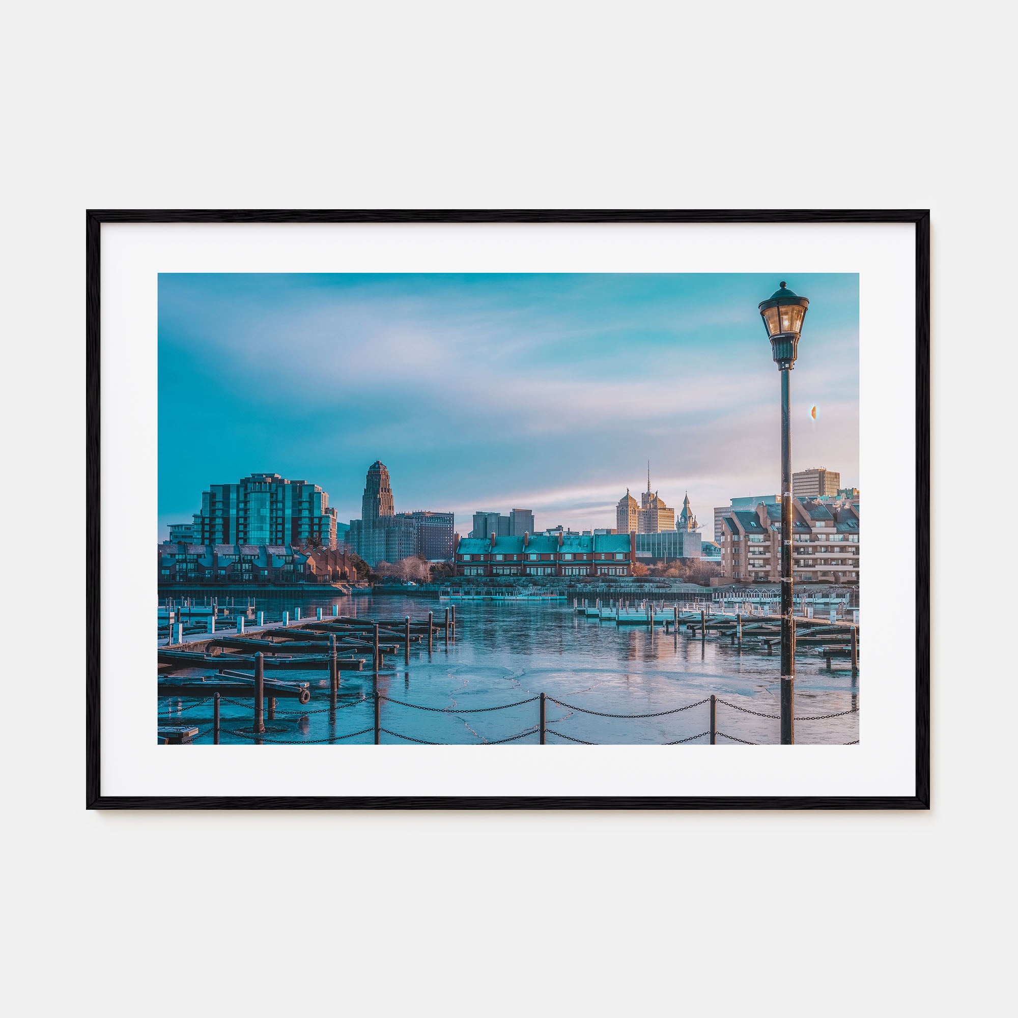 Buffalo Landscape Color Poster