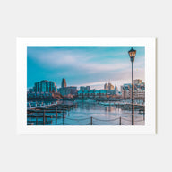 Buffalo Landscape Color Poster