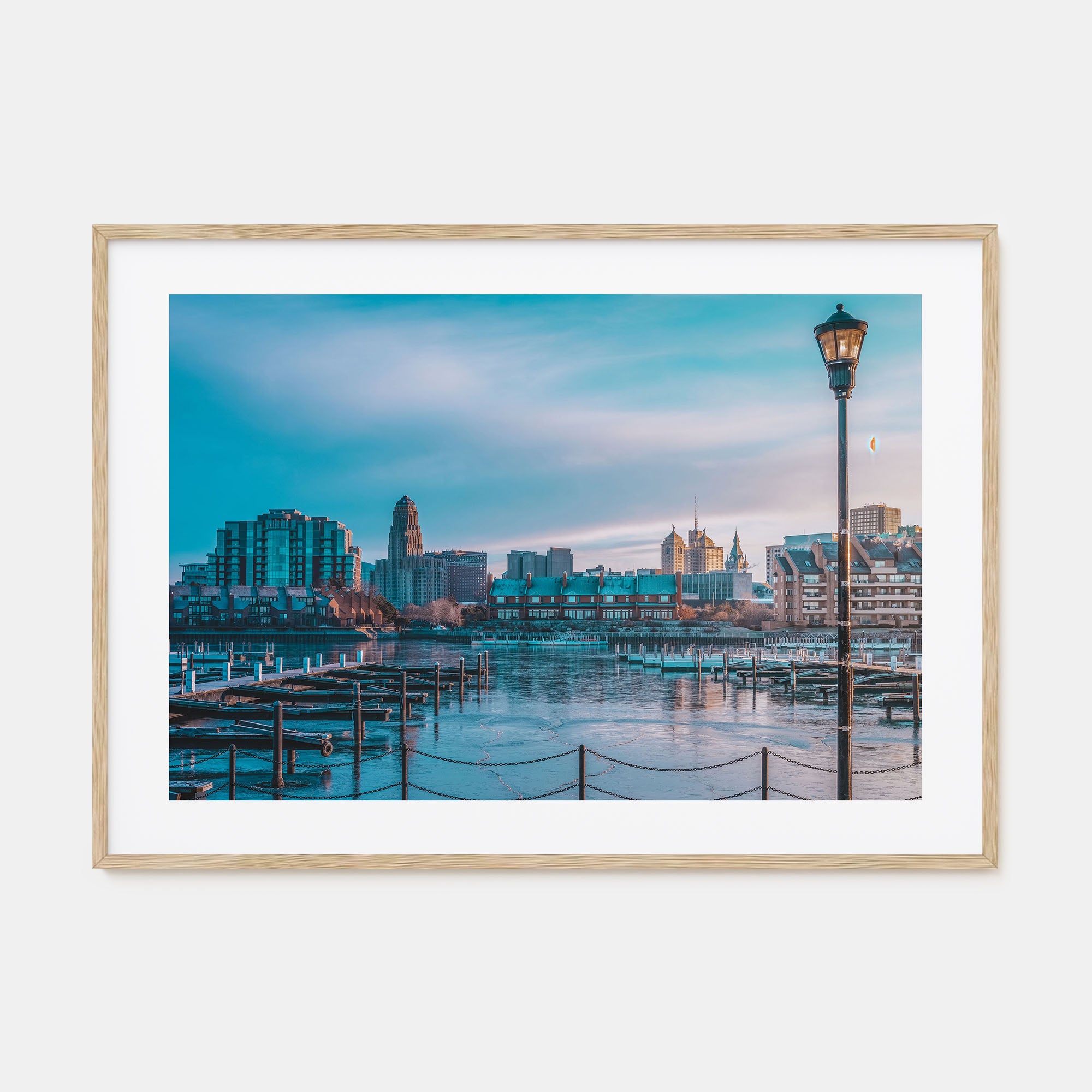 Buffalo Landscape Color Poster