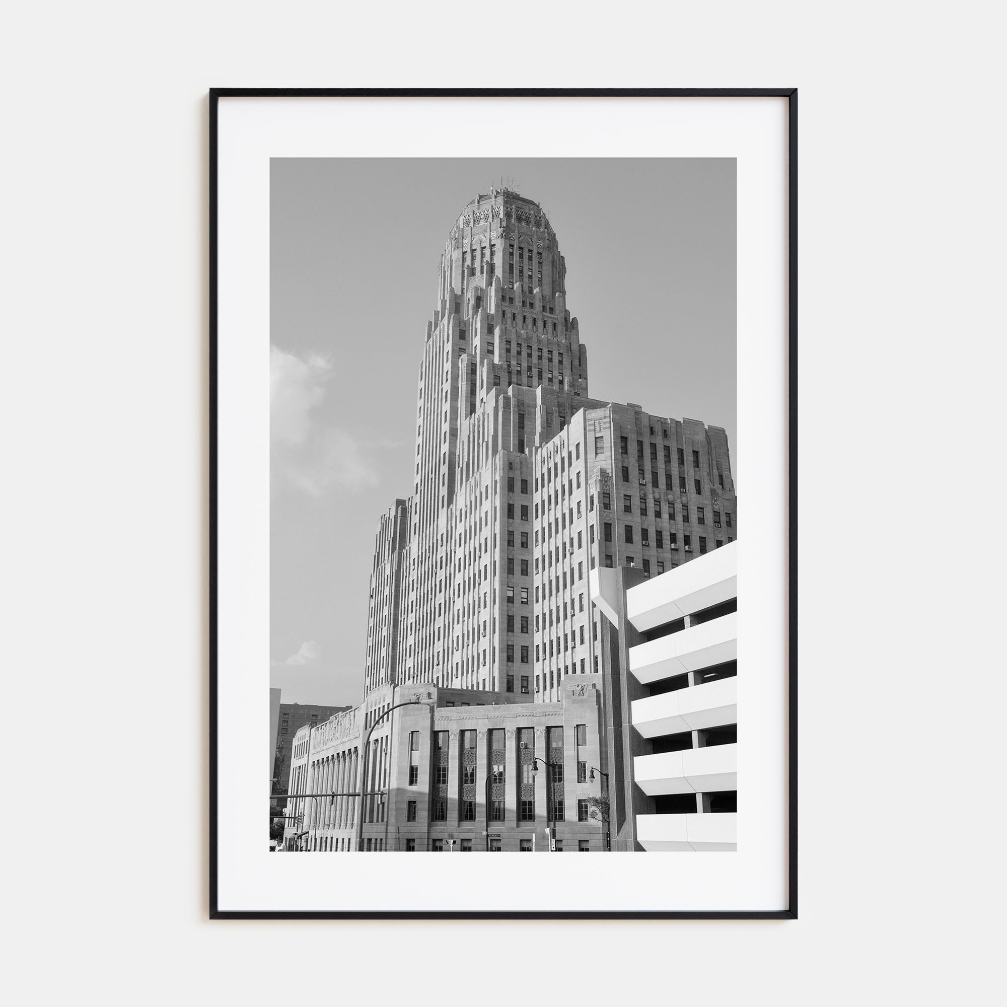 Buffalo Photo B&W No 1 Poster
