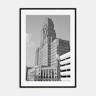 Buffalo Photo B&W No 1 Poster
