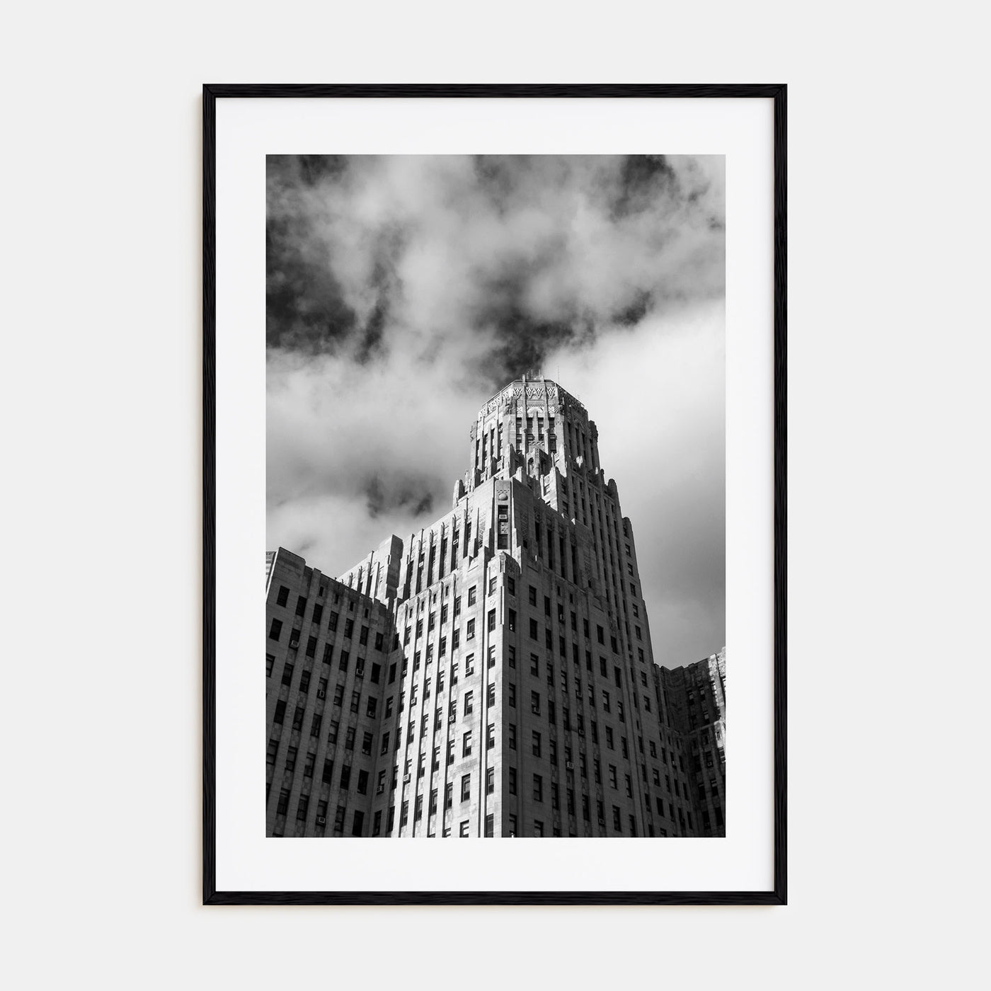 Buffalo Photo B&W No 2 Poster