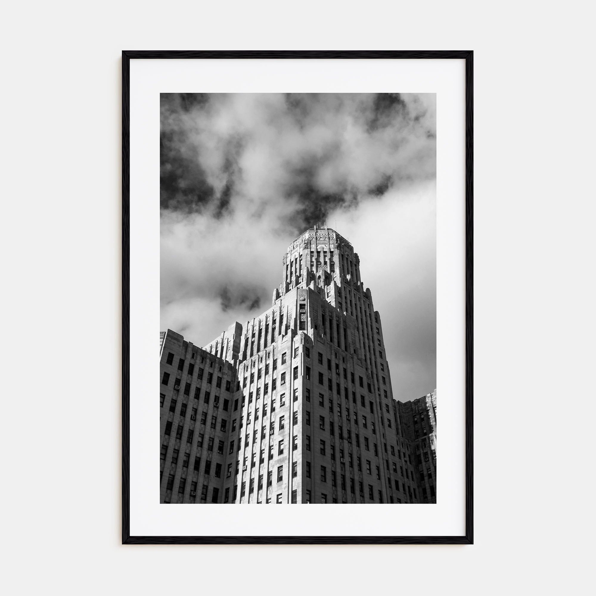 Buffalo Photo B&W No 2 Poster