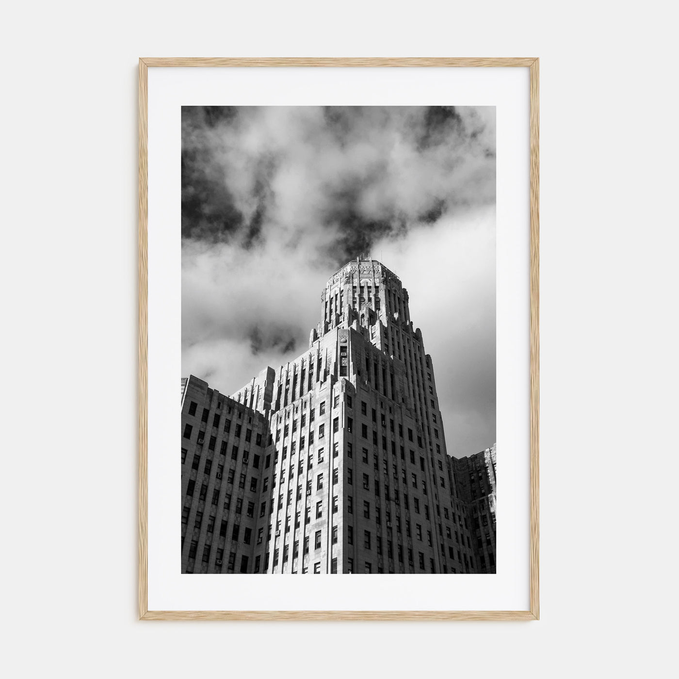 Buffalo Photo B&W No 2 Poster