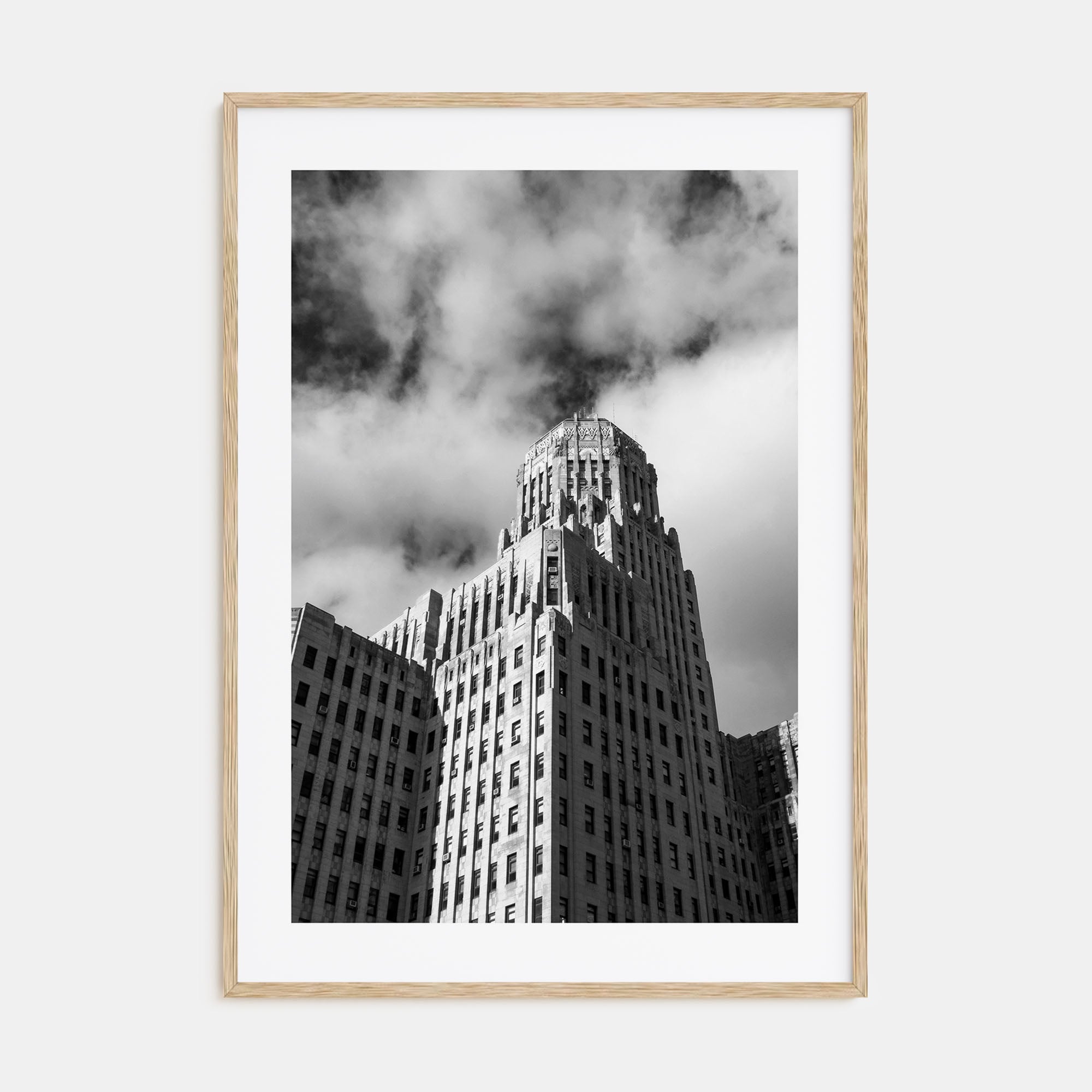 Buffalo Photo B&W No 2 Poster