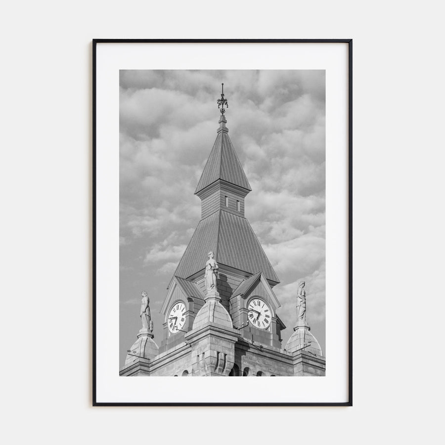 Buffalo Photo B&W No 3 Poster