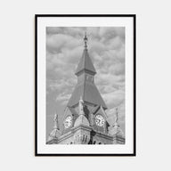 Buffalo Photo B&W No 3 Poster