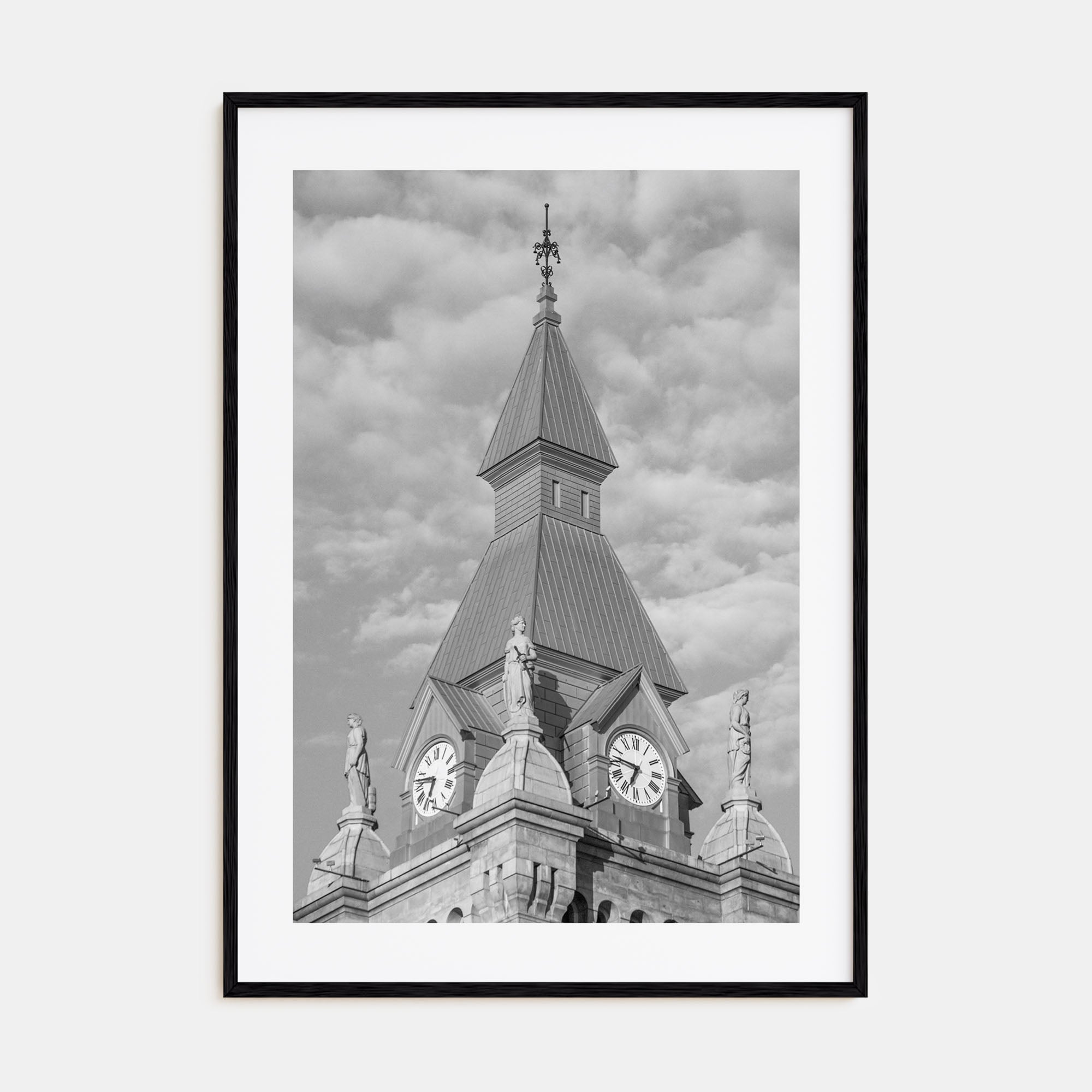 Buffalo Photo B&W No 3 Poster