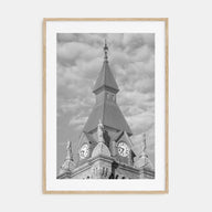 Buffalo Photo B&W No 3 Poster