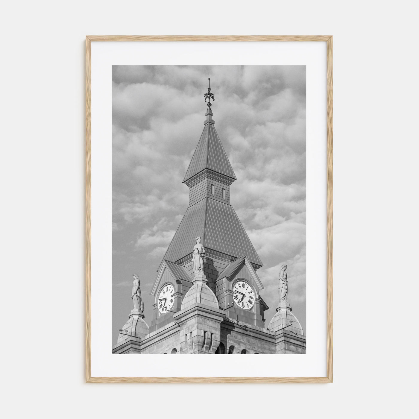 Buffalo Photo B&W No 3 Poster