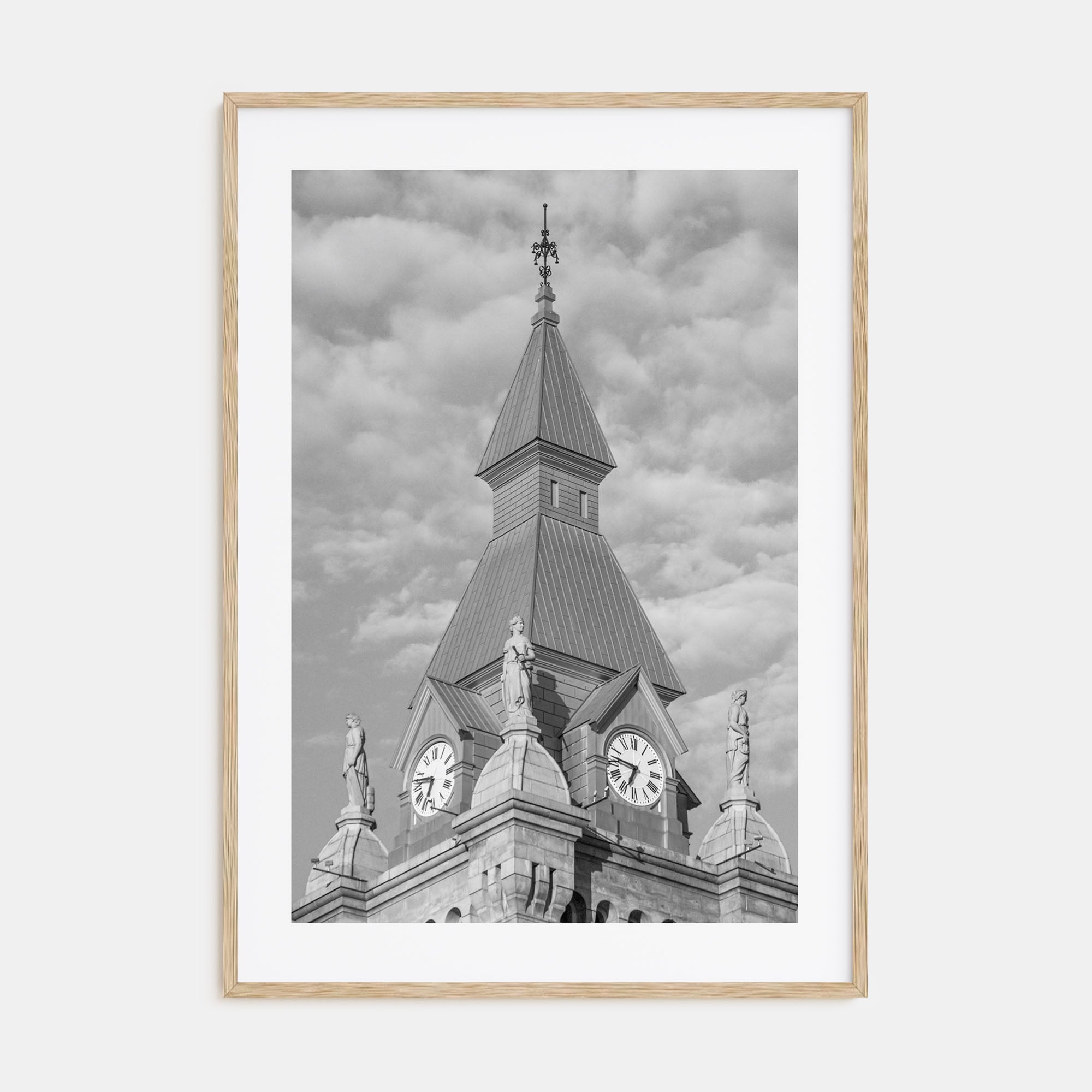 Buffalo Photo B&W No 3 Poster