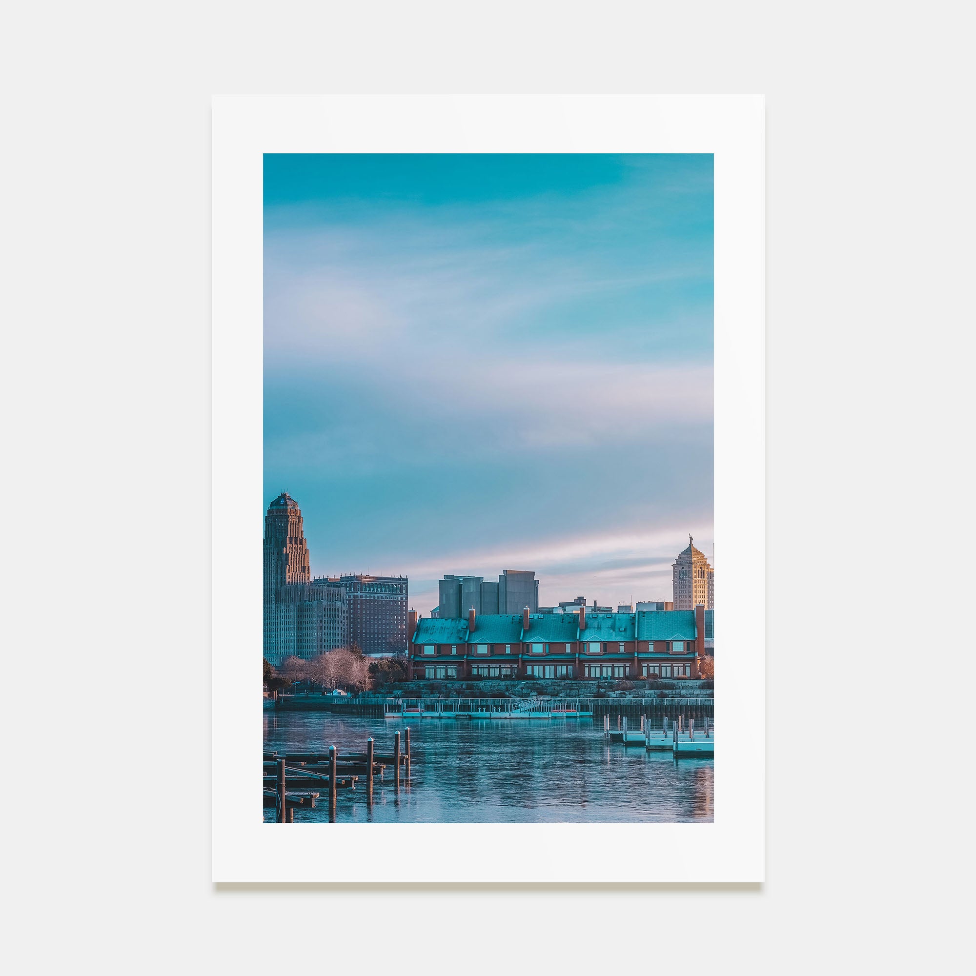 Buffalo Photo Color No 1 Poster