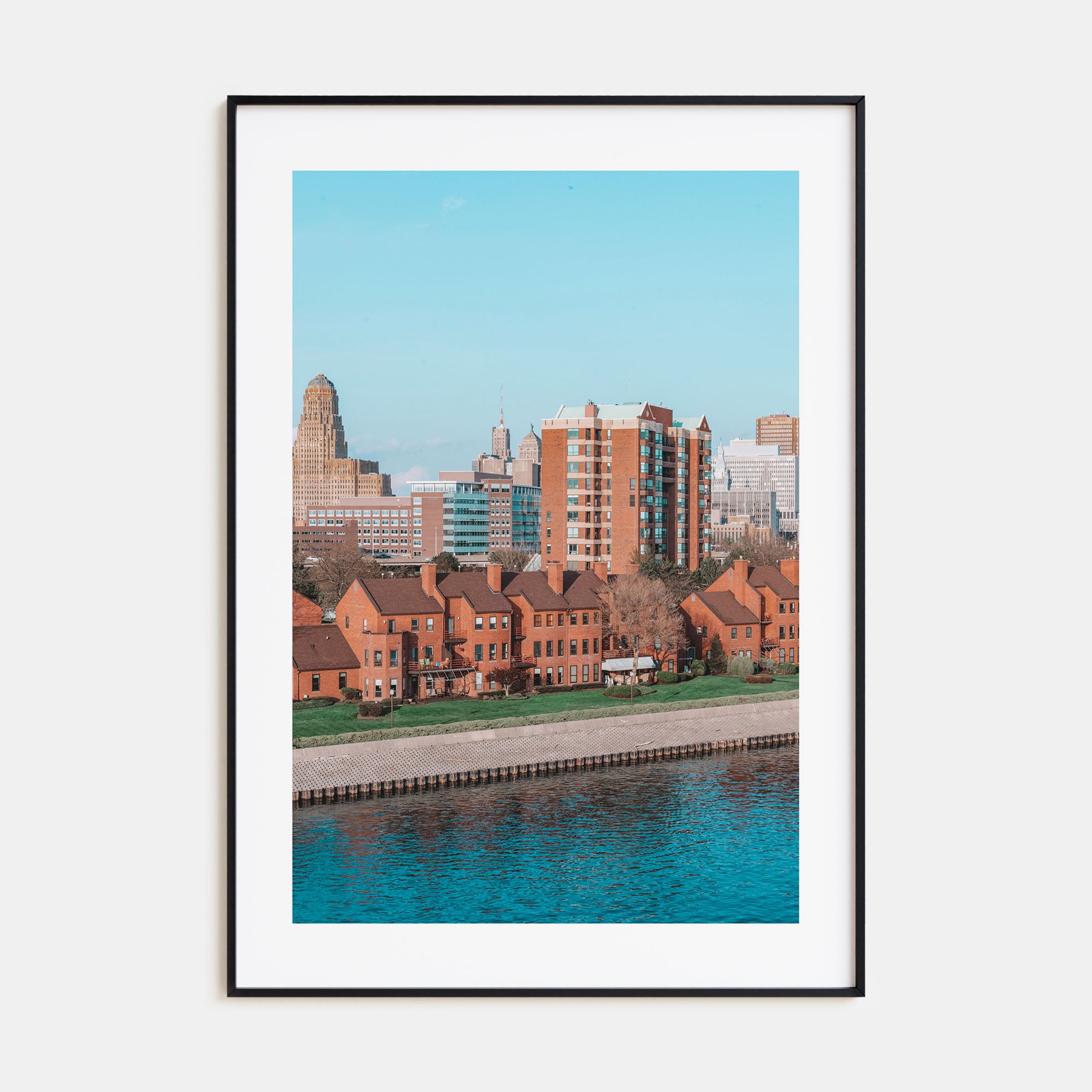 Buffalo Photo Color No 2 Poster