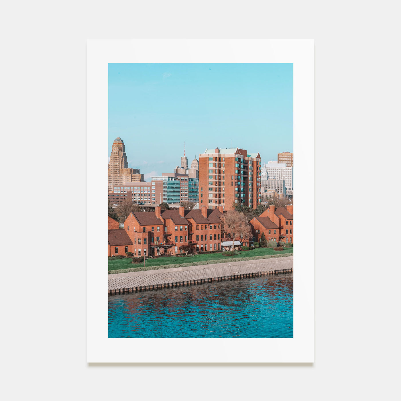 Buffalo Photo Color No 2 Poster