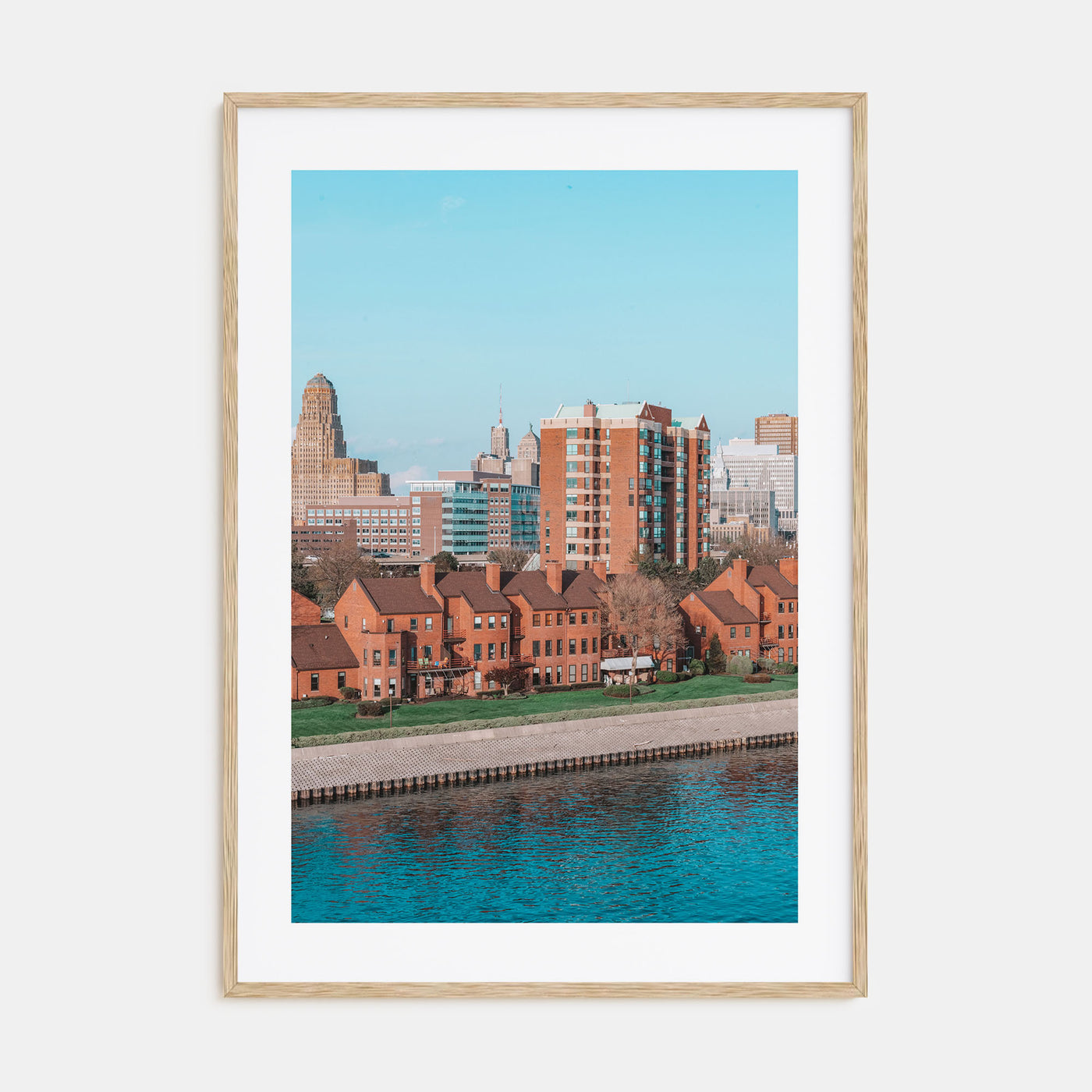 Buffalo Photo Color No 2 Poster