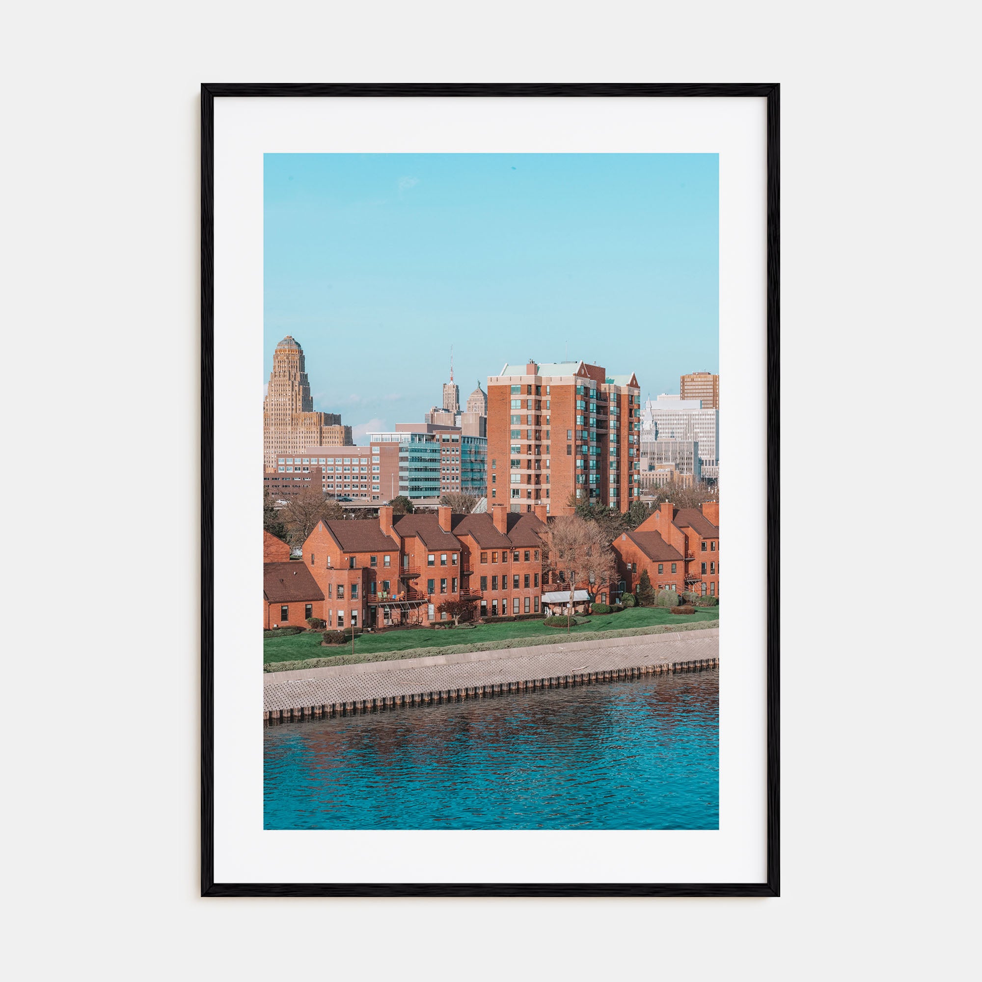 Buffalo Photo Color No 2 Poster