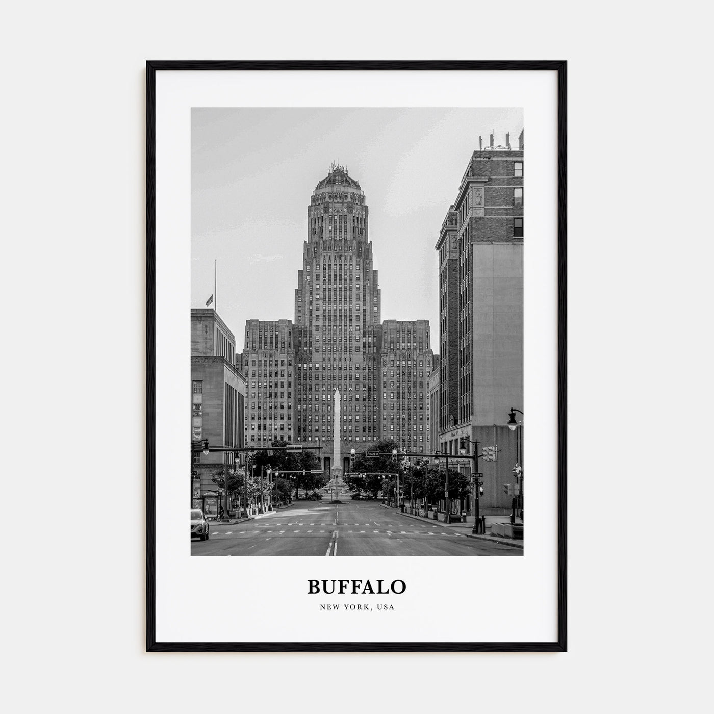 Buffalo Portrait B&W No 1 Poster