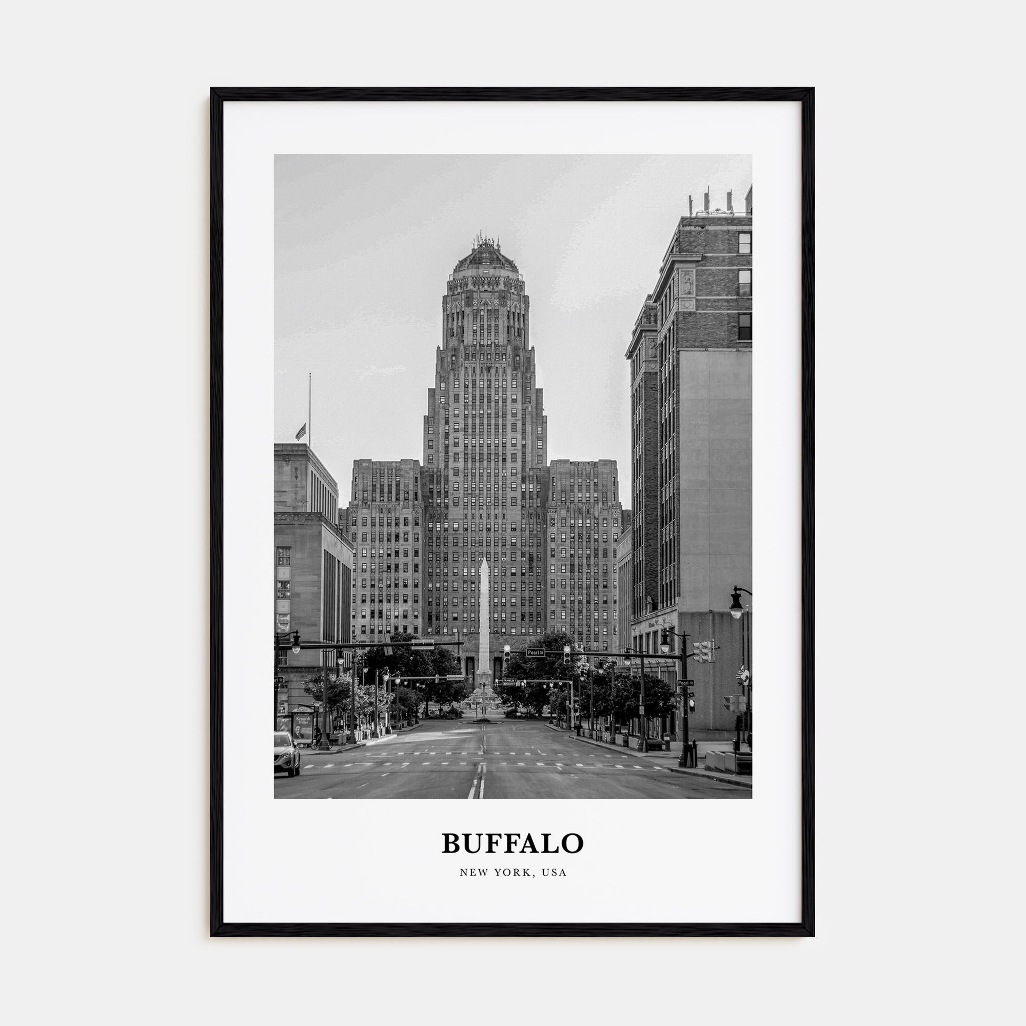 Buffalo Portrait B&W No 1 Poster
