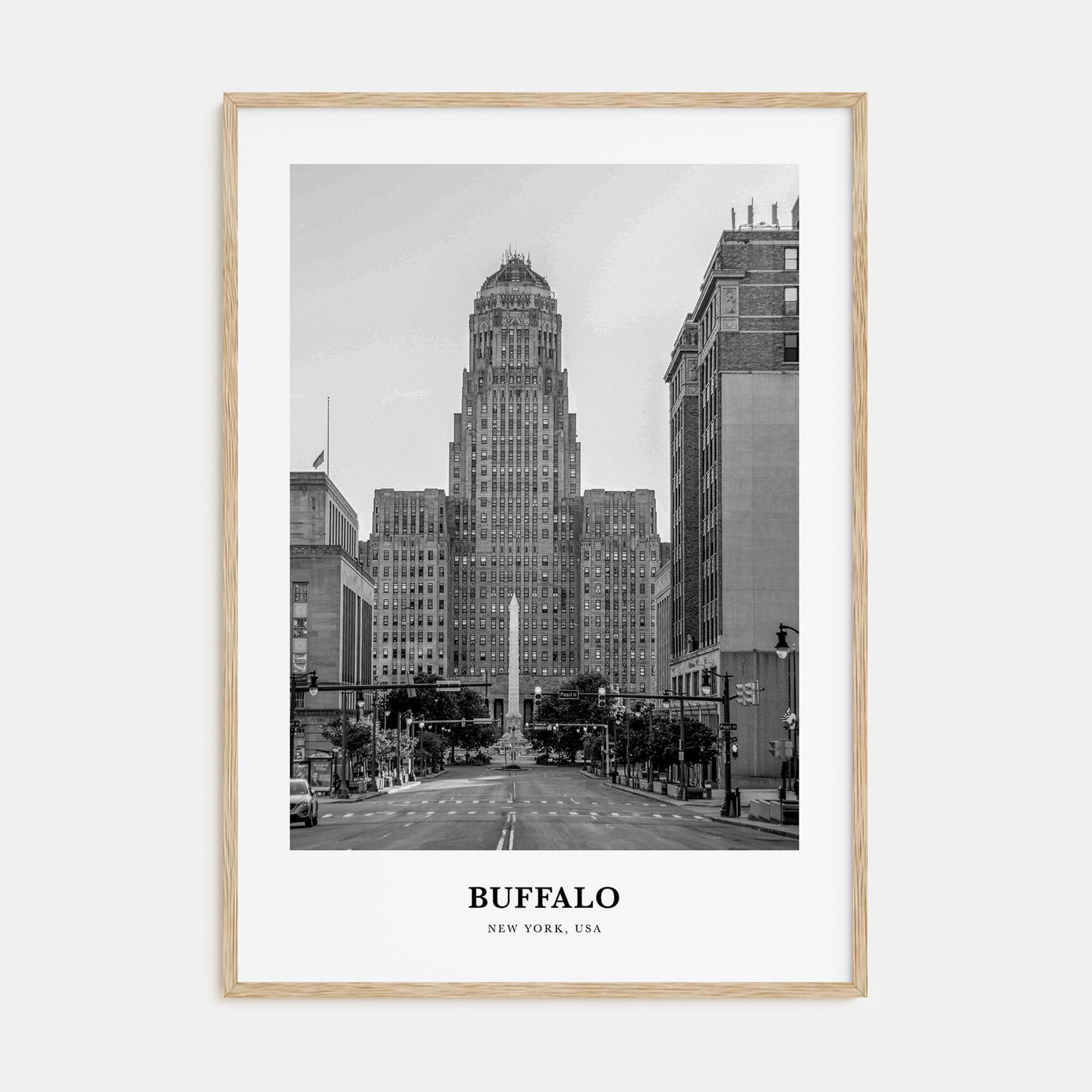 Buffalo Portrait B&W No 1 Poster