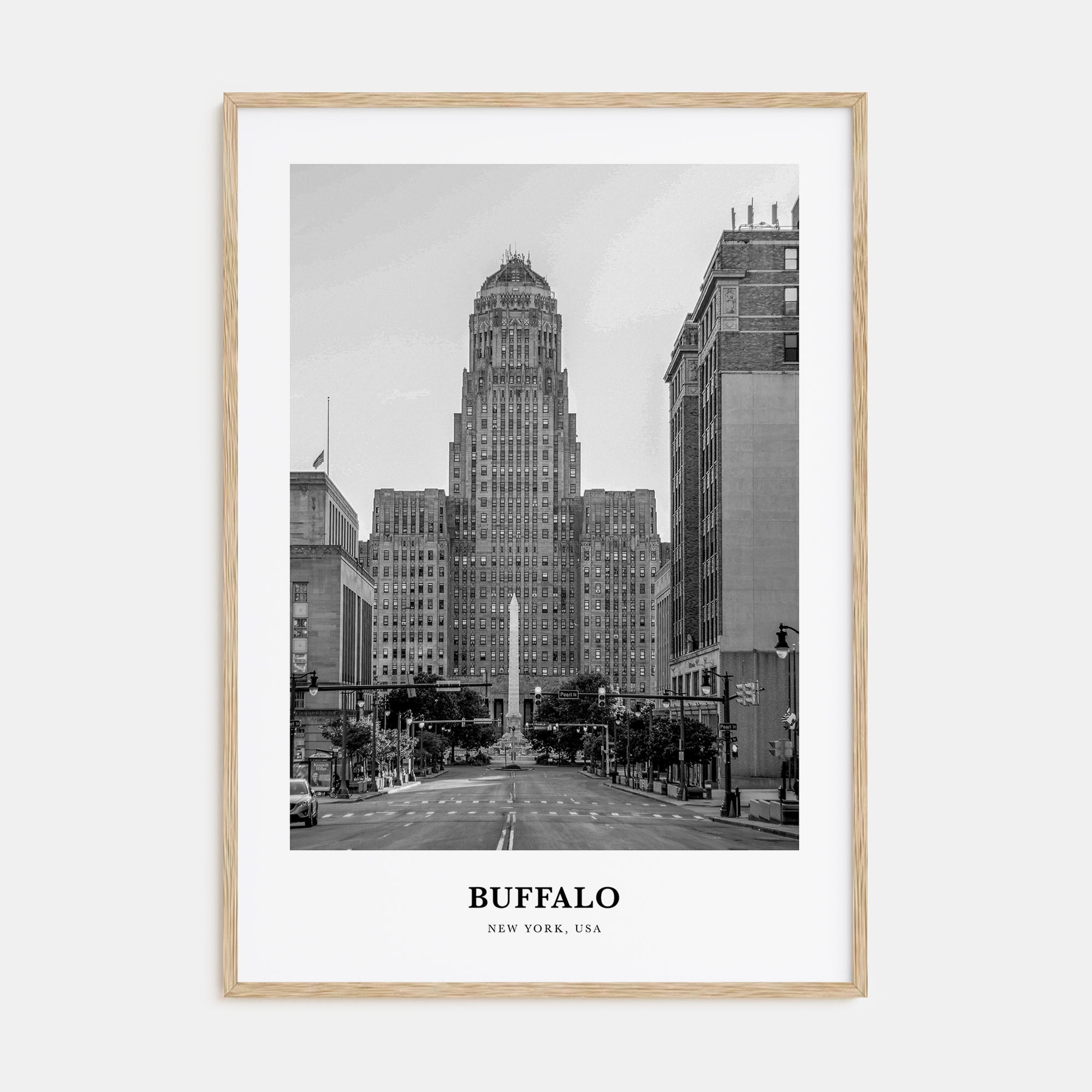 Buffalo Portrait B&W No 1 Poster