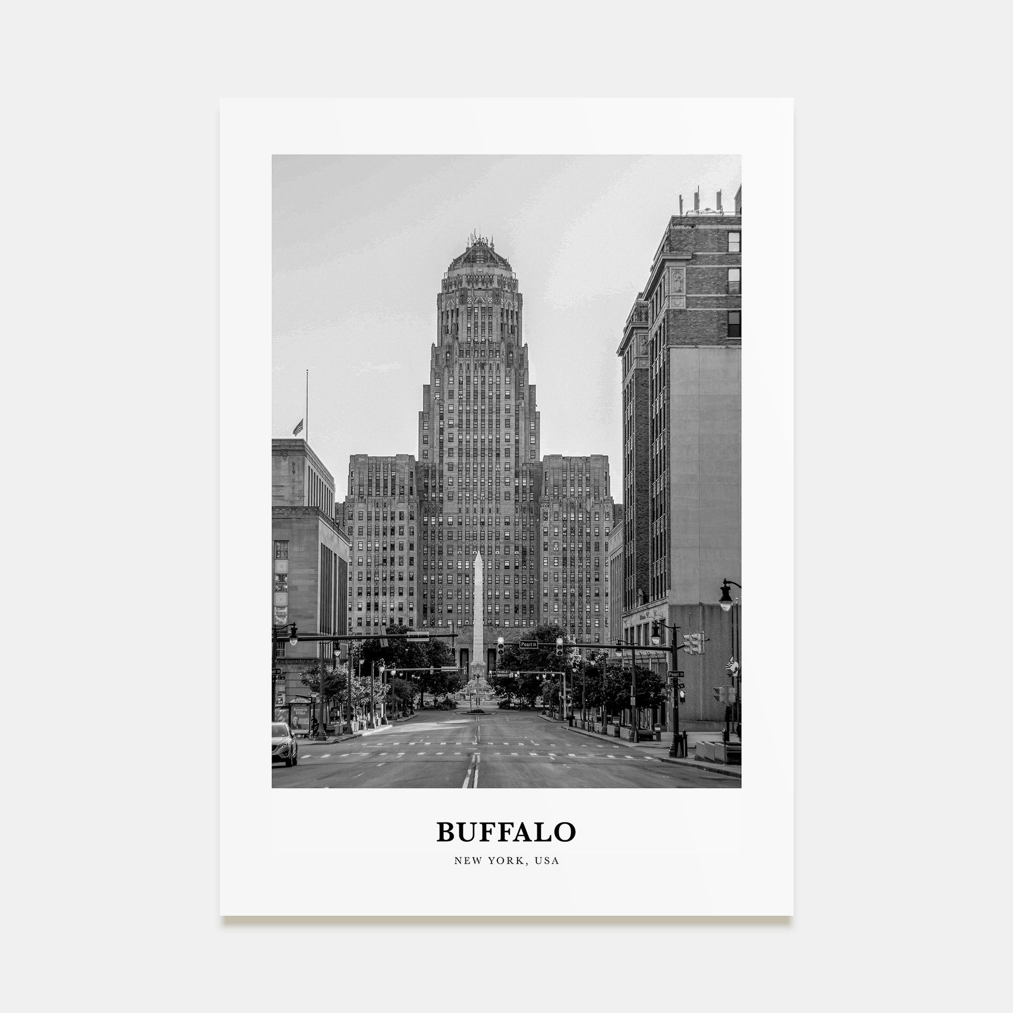 Buffalo Portrait B&W No 1 Poster