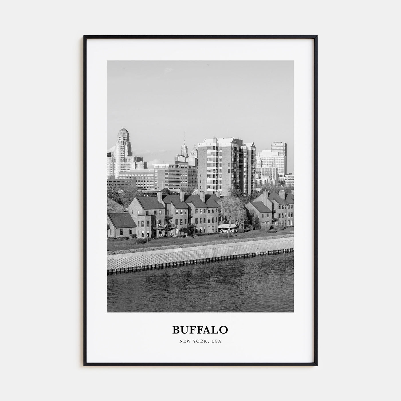 Buffalo Portrait B&W No 2 Poster
