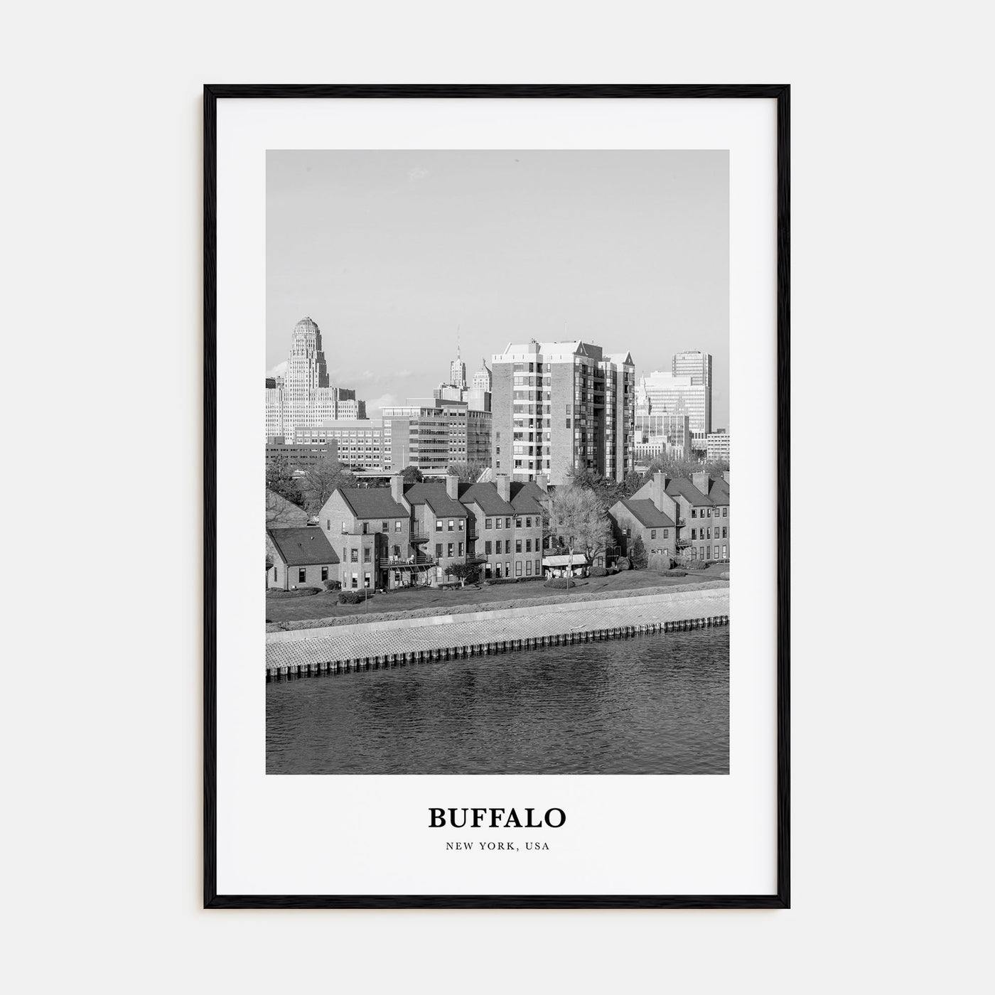 Buffalo Portrait B&W No 2 Poster