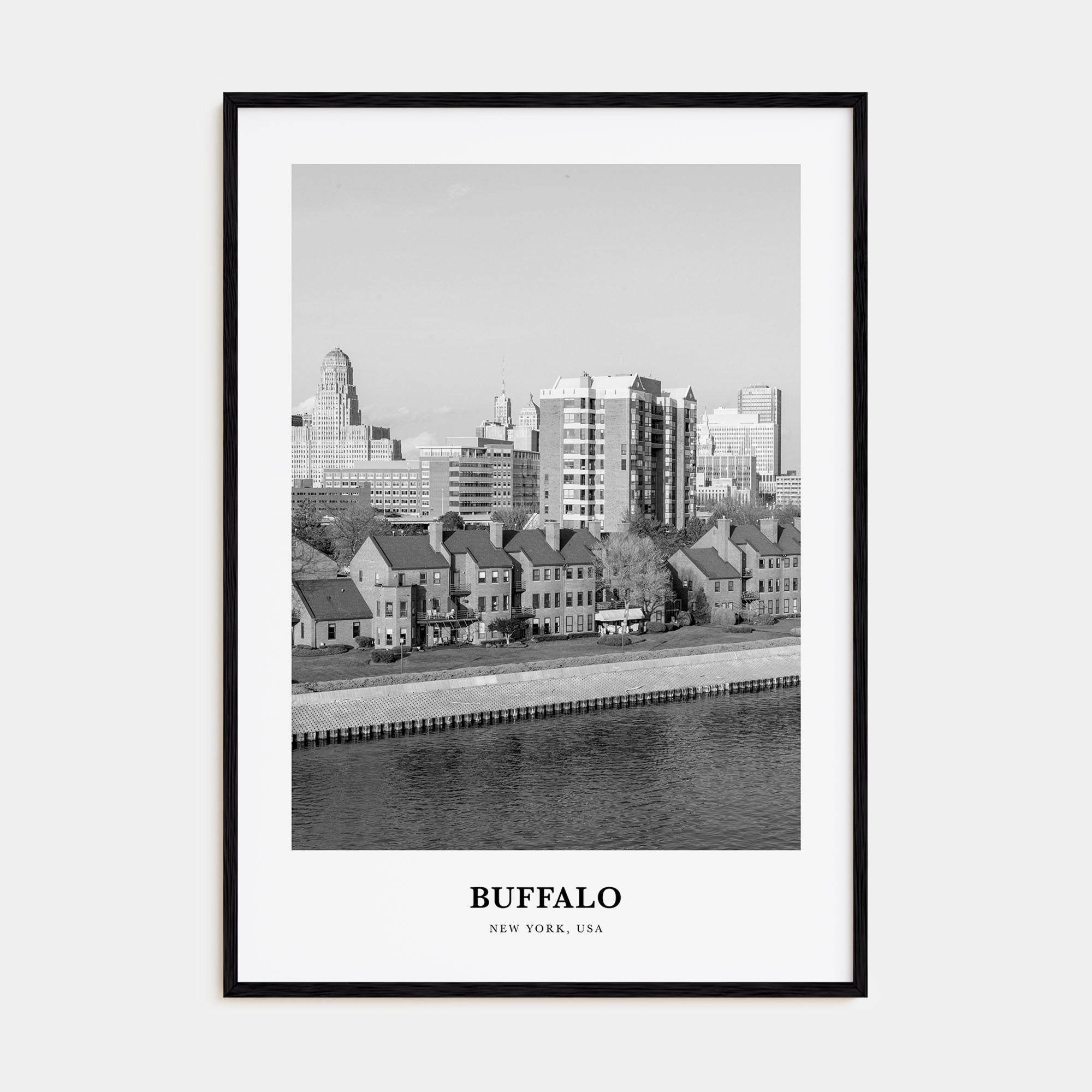 Buffalo Portrait B&W No 2 Poster