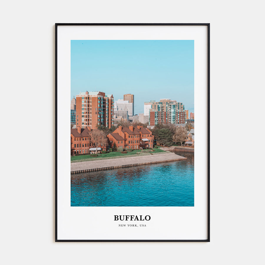 Buffalo Portrait Color Poster