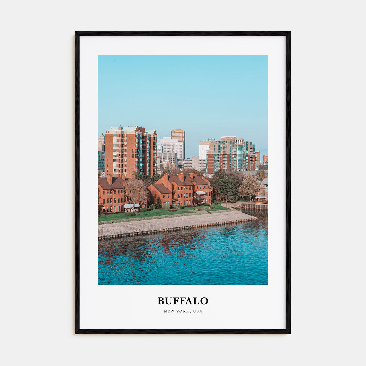 Buffalo Portrait Color Poster