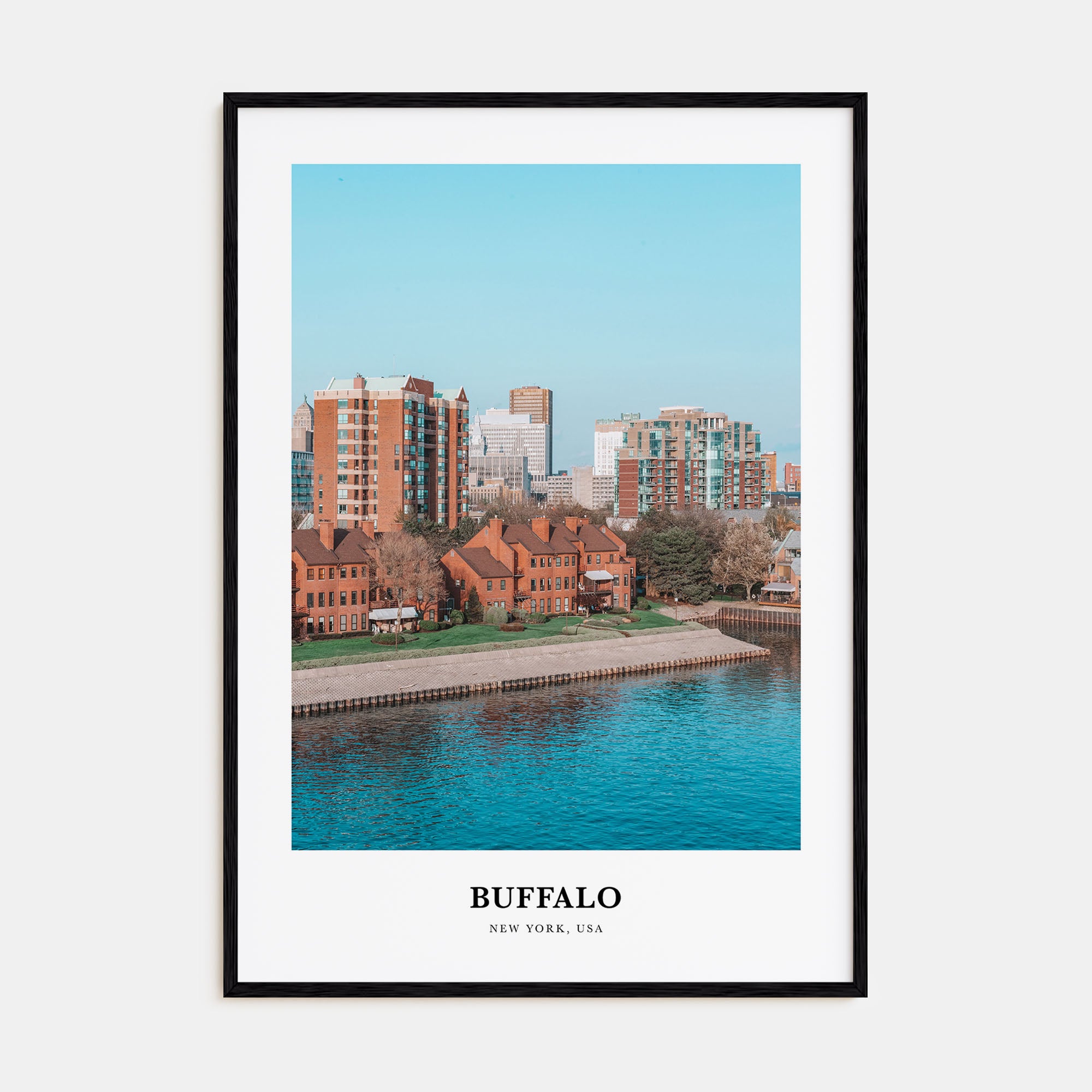 Buffalo Portrait Color Poster