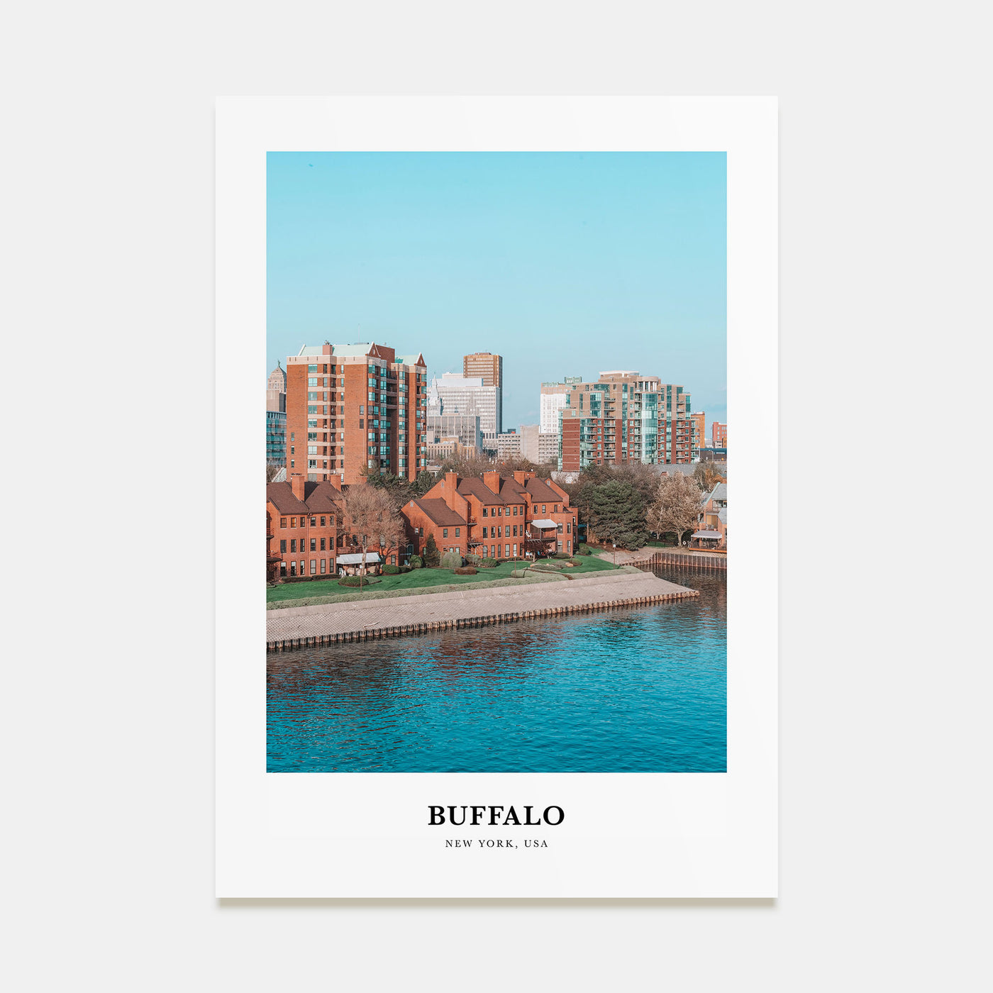 Buffalo Portrait Color Poster
