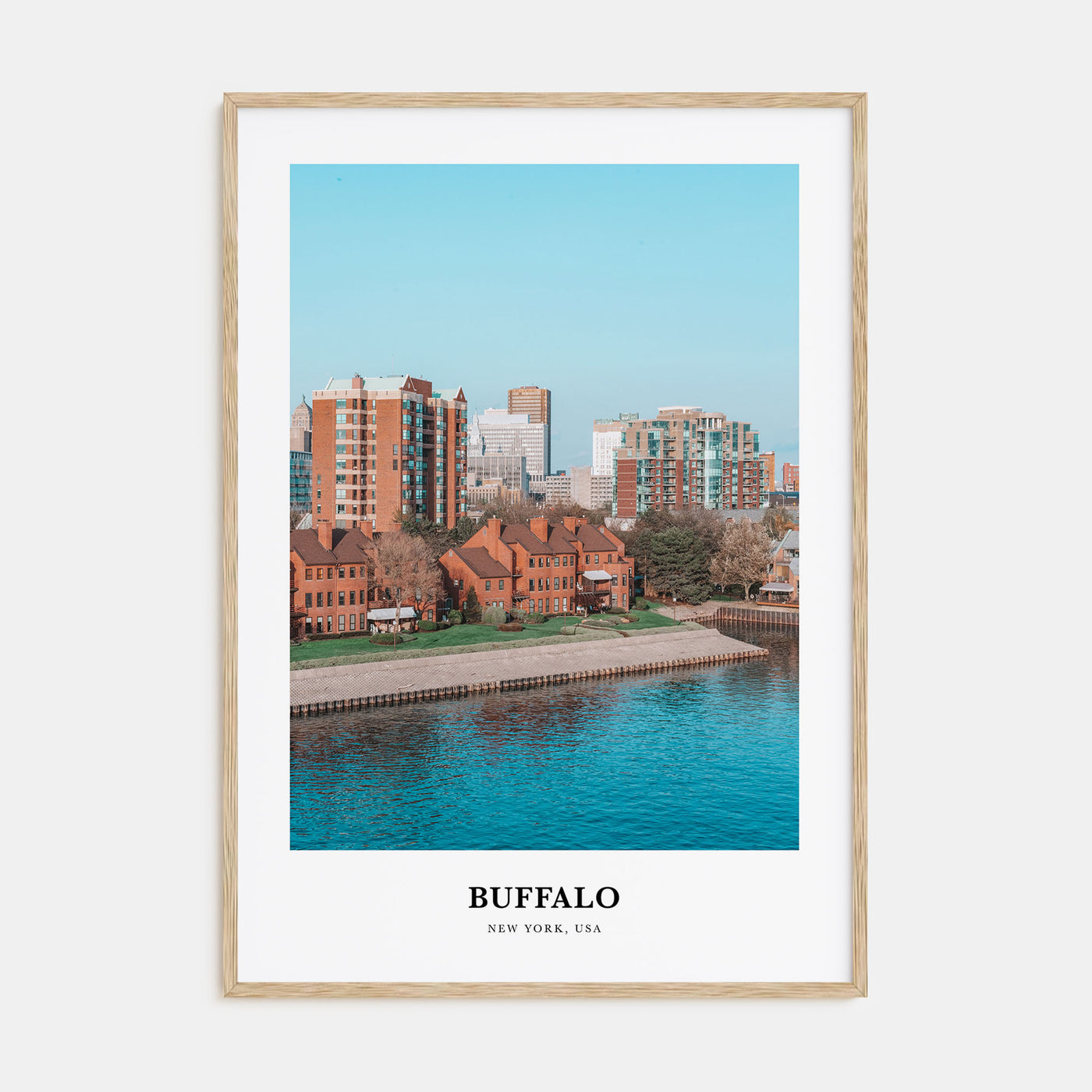 Buffalo Portrait Color Poster