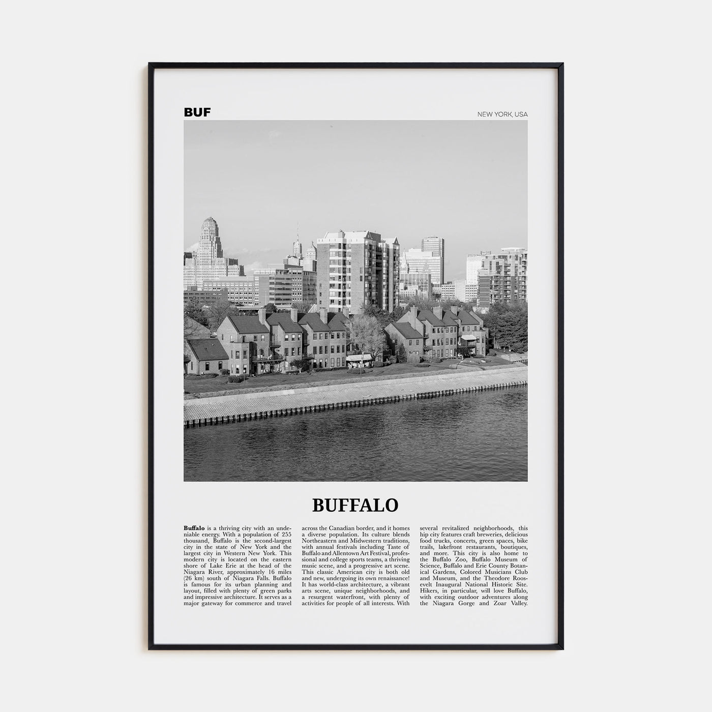 Buffalo Travel B&W No 2 Poster