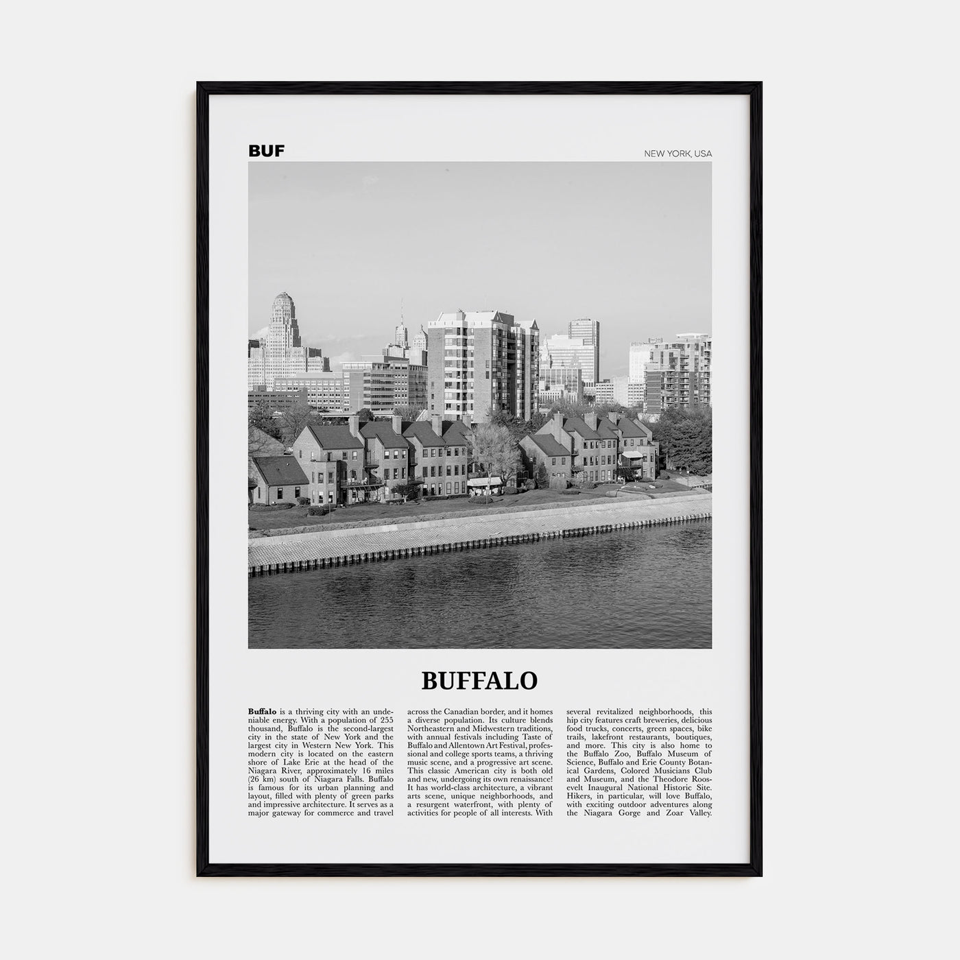 Buffalo Travel B&W No 2 Poster