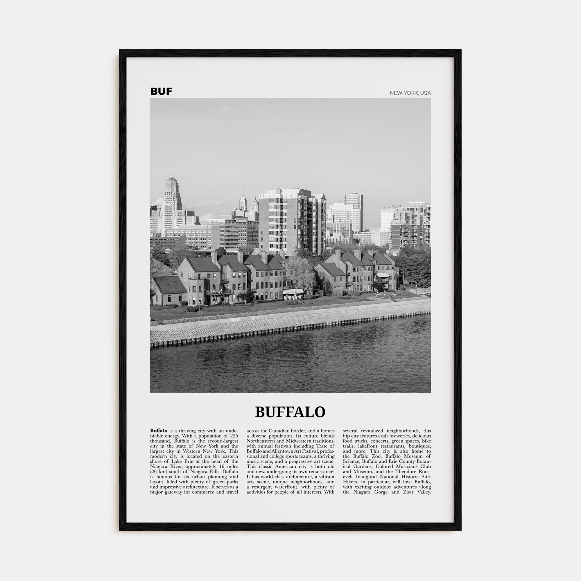 Buffalo Travel B&W No 2 Poster