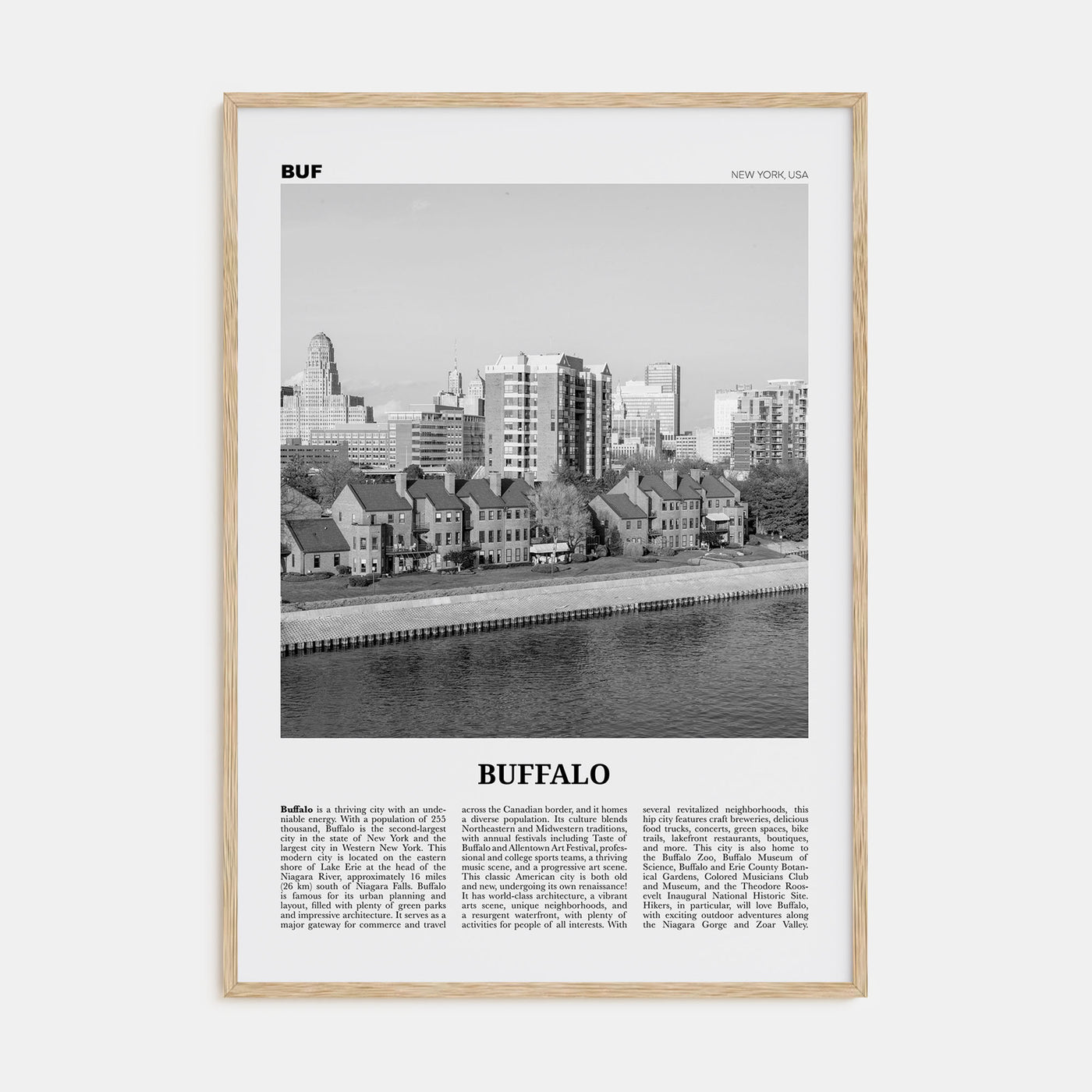 Buffalo Travel B&W No 2 Poster